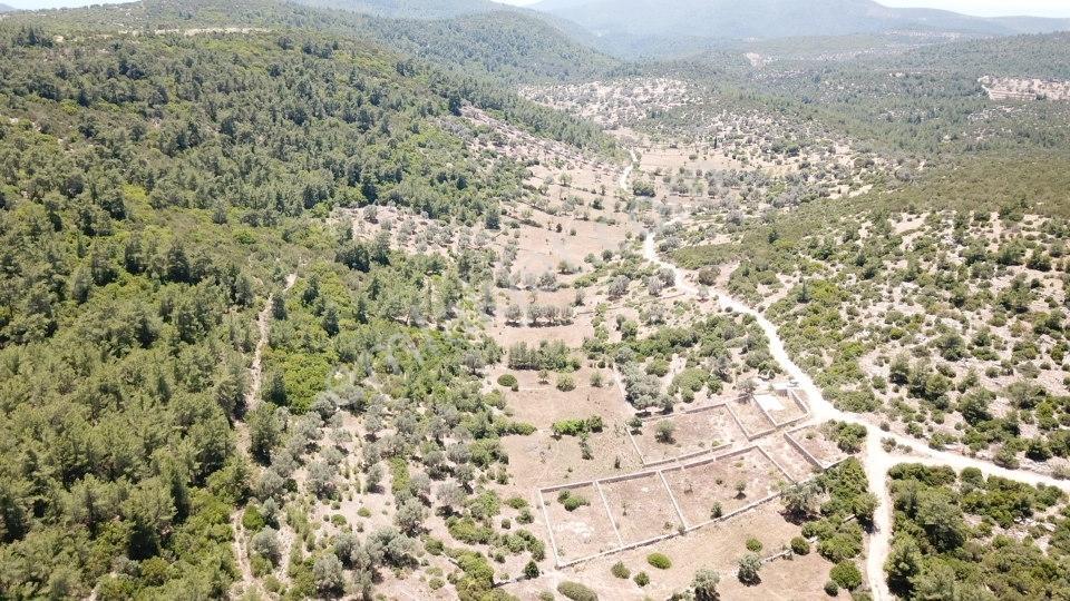Yalıçiftlik'te Satılık 2.500 M2 Tarla - Görsel 7