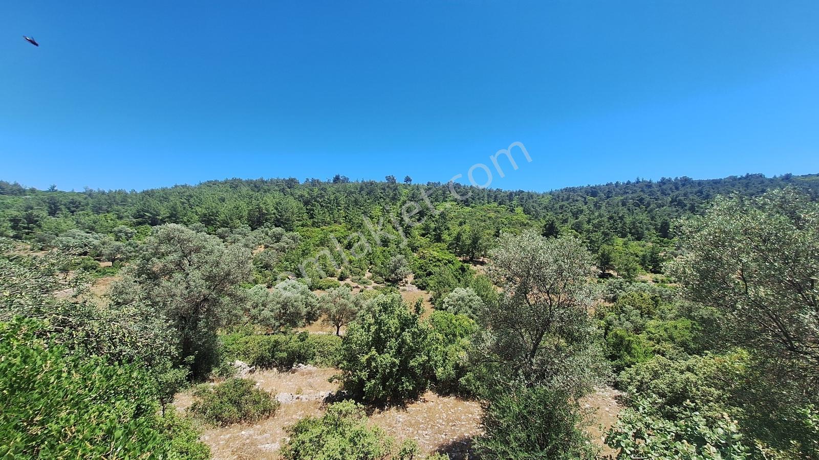 Yalıçiftlik'te Satılık 2.500 M2 Tarla - Görsel 10
