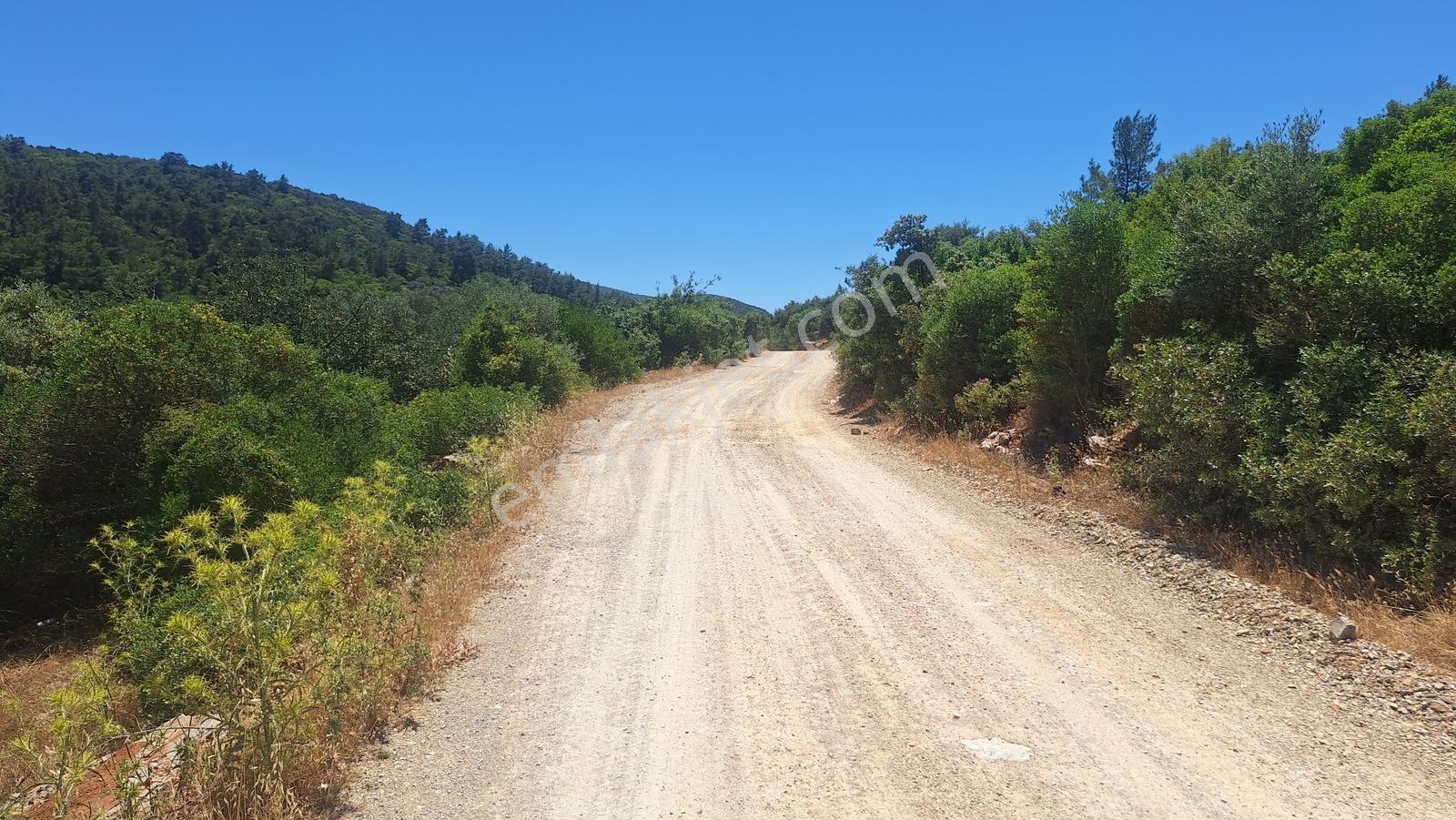 Yalıçiftlik'te Satılık 2.500 M2 Tarla - Görsel 11