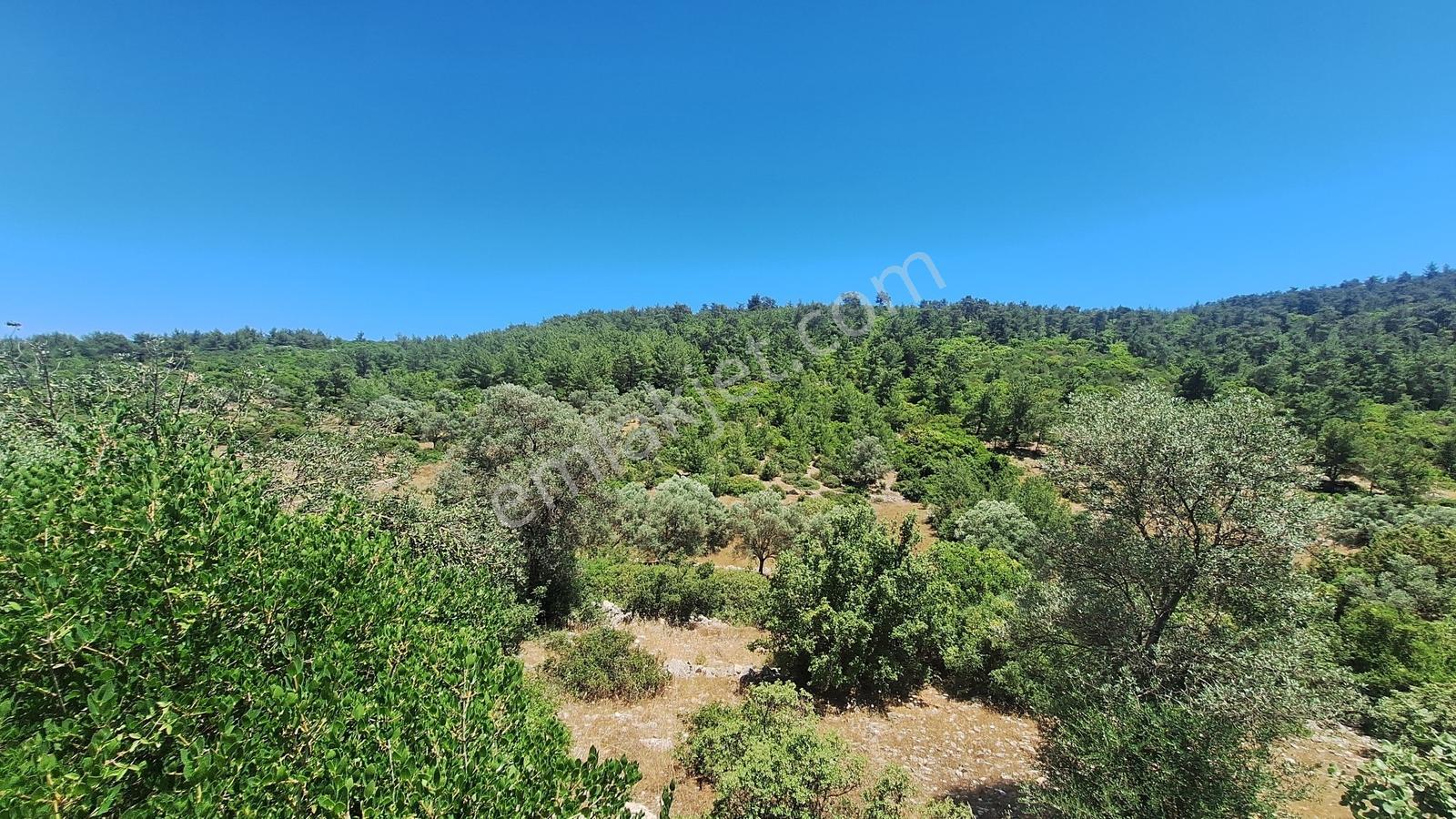 Yalıçiftlik'te Satılık 2.500 M2 Tarla - Görsel 3