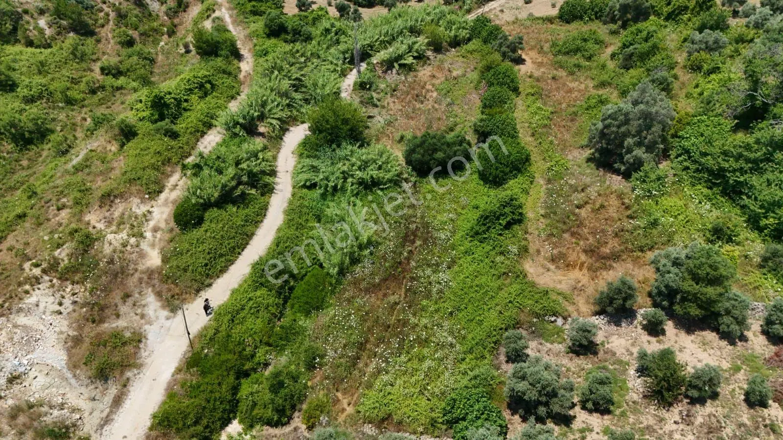 Milas Ören Alatepe'de Resmi Yola 20 M Elektrik Dibinde 998 M² Satılık Tarla - Görsel 2