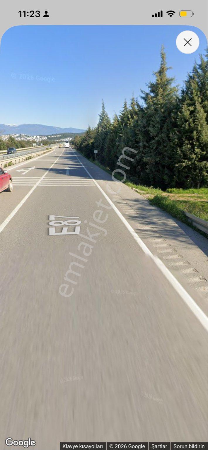 Gömeç Karaağaç’ta Asfalta 1 Parsel, Denize Kuş Uçumu 1 Km, 4.627 M² Yatırımlık Zeytinlik - Görsel 5