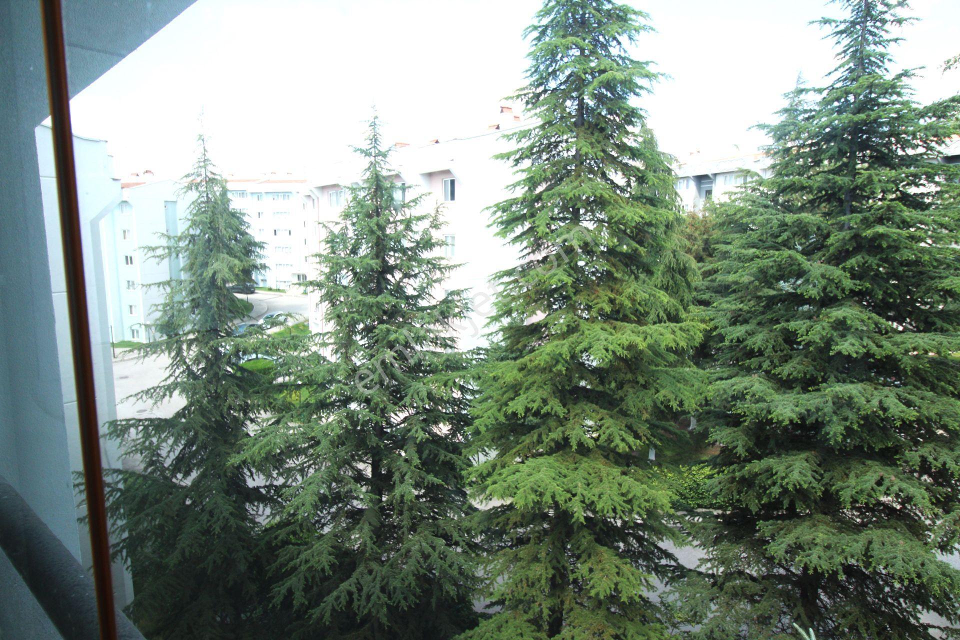 Kiralık 3+1 Bakımlı Daire – Çankaya Konutkent Oyak 9 Sitesi - Görsel 20