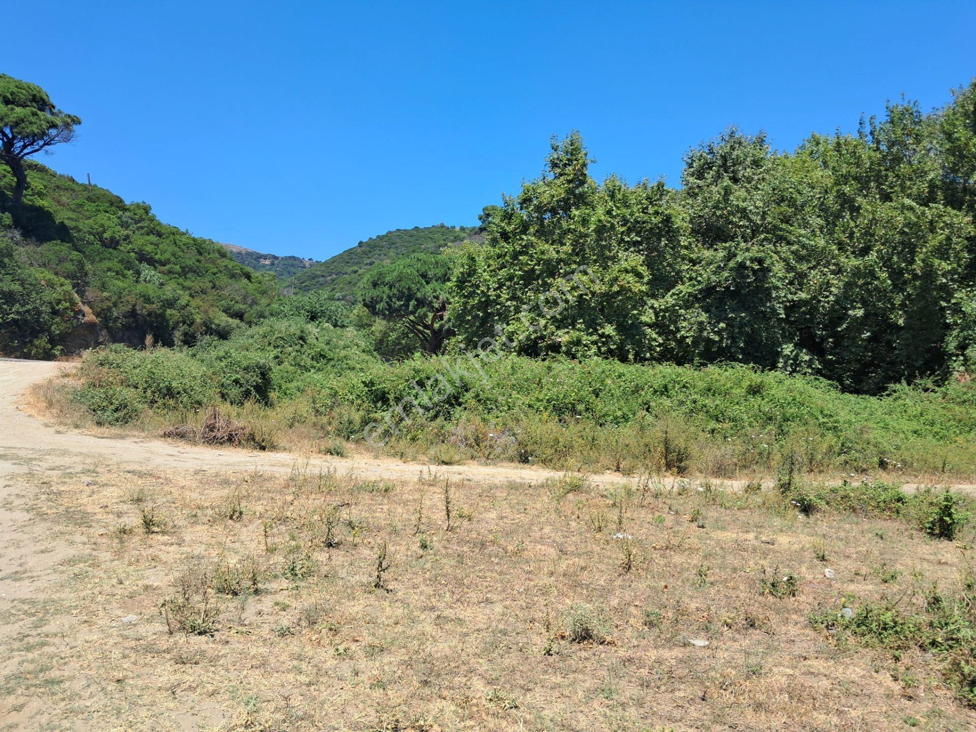 Marmara Adası Topağaç Köyü Anayola Yakın Yatırımlık Tarla - Görsel 12