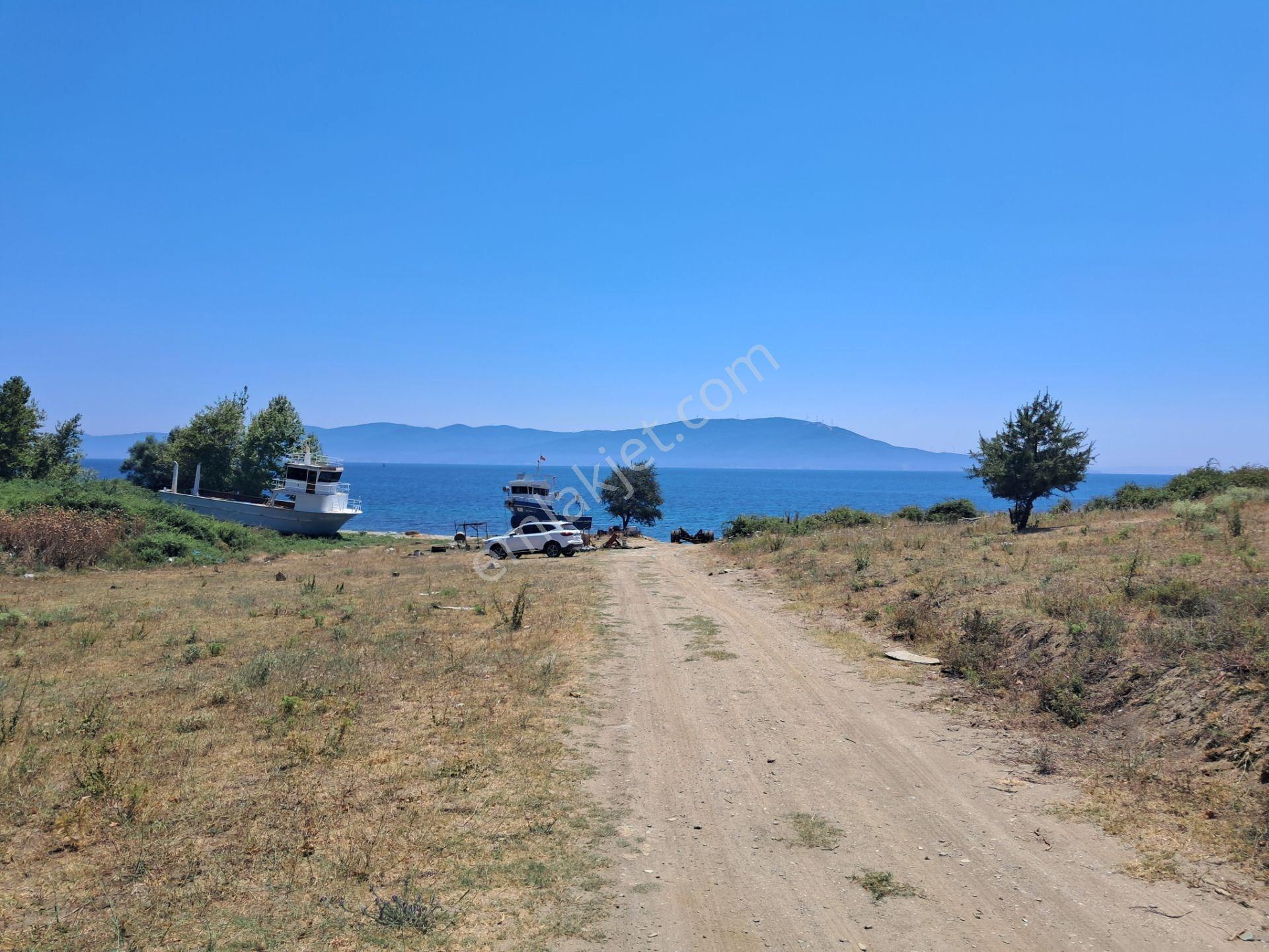 Marmara Adası Topağaç Köyü Anayola Yakın Yatırımlık Tarla - Görsel 6