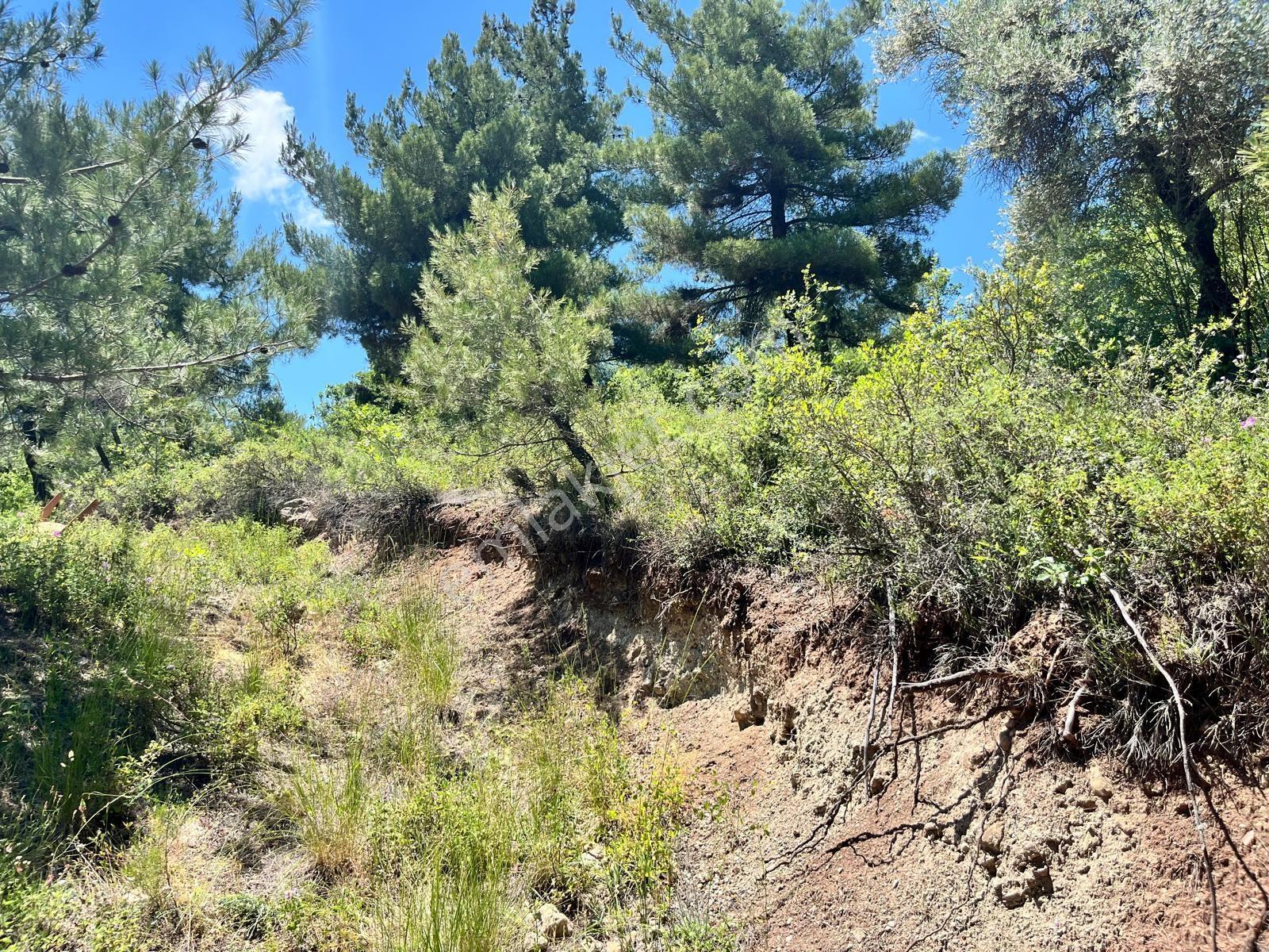 Sakarya Pamukova Bakacakta Yola Cephe Satılık Fırsat Arsa - Görsel 13