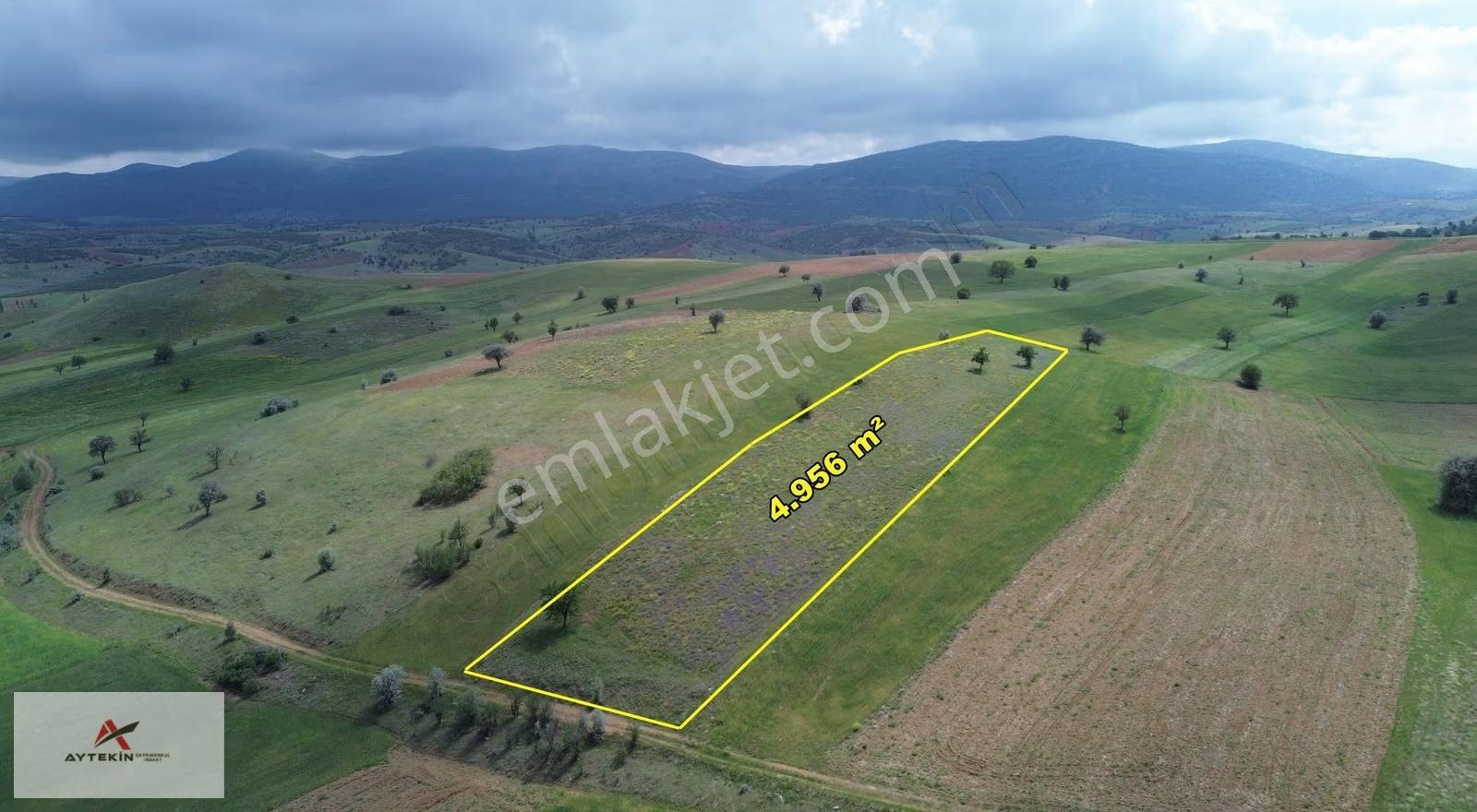 Güneysınır Kayaağzı Mahallesinde 4.956 M² Müstakil Tapulu Tarla - Görsel 2