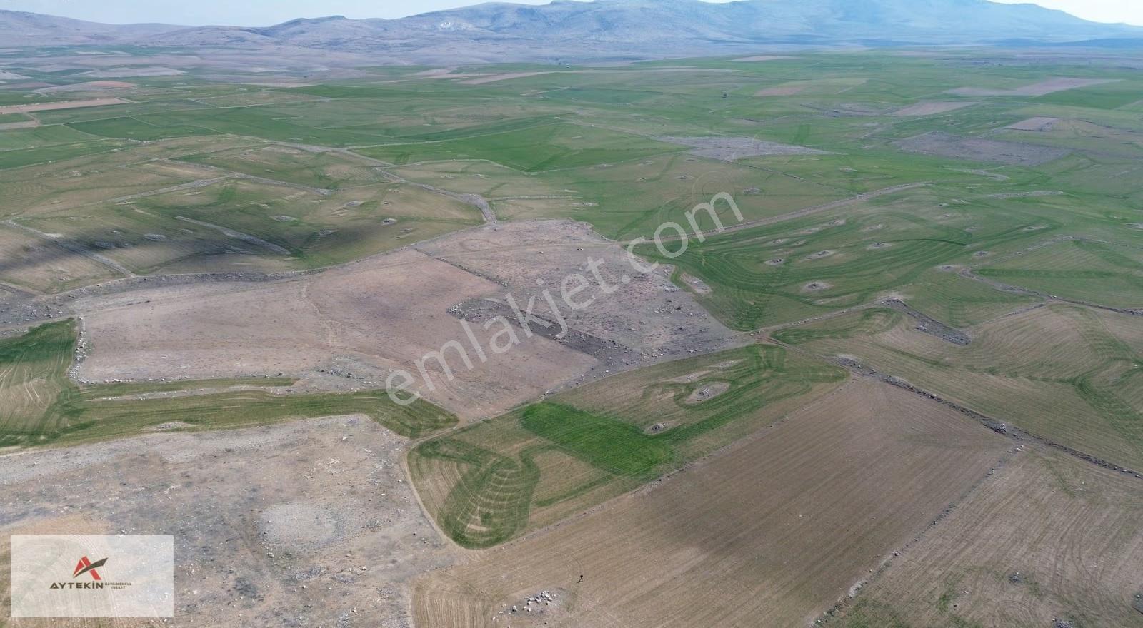 Meram Kavak Mahallesi'nde 11.312 M² Müstakil Tapulu Tarla - Görsel 2