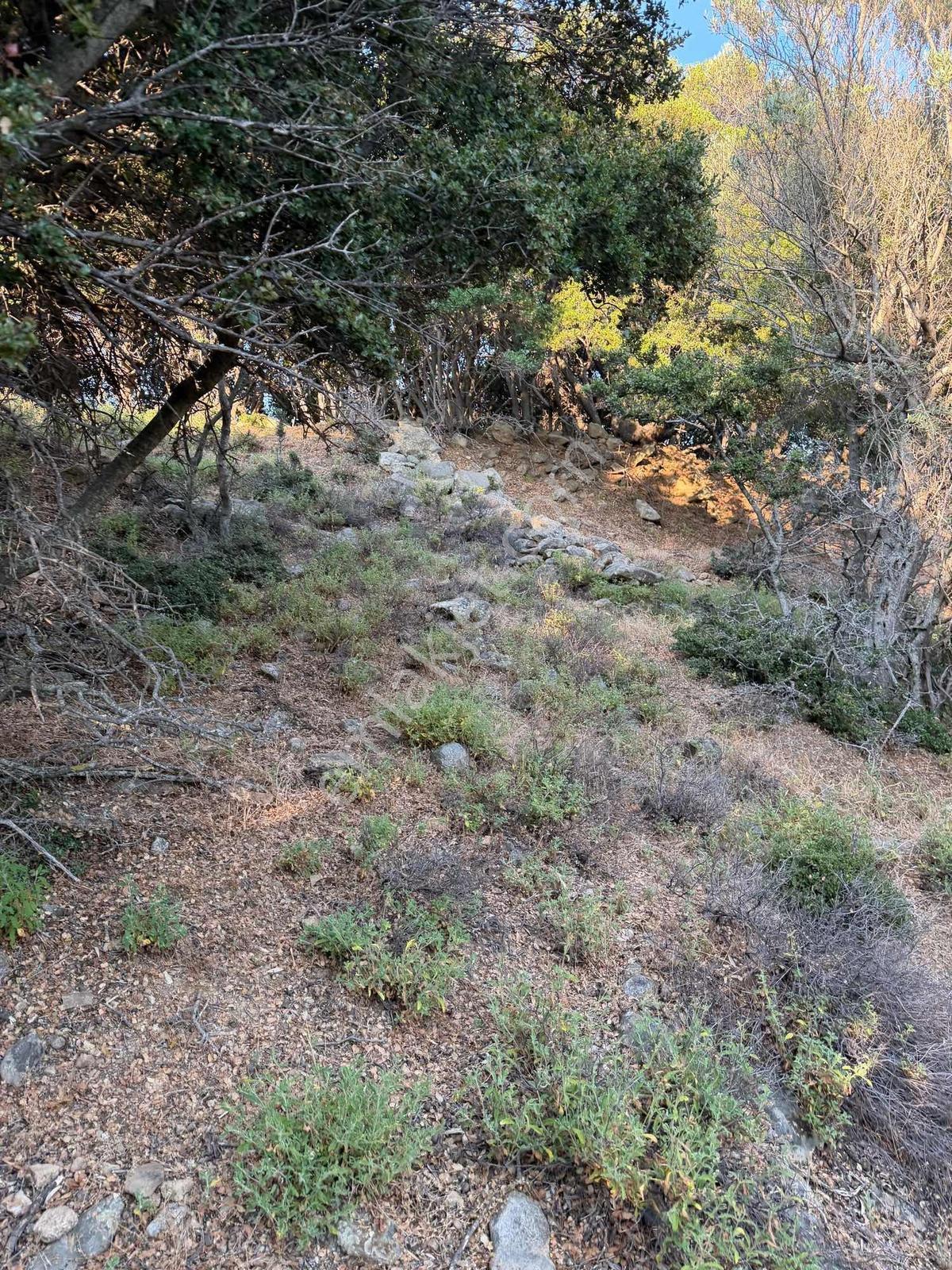 İmroz Emlak'tan Yol Sorunu Olmayan 377 M2 Zeytinlik - Görsel 4