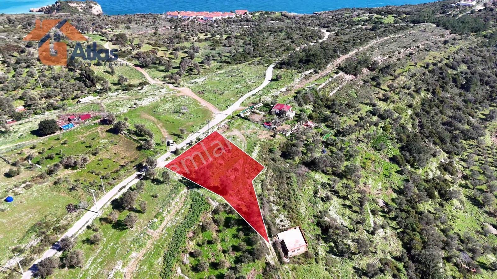 Karaburun Anbarseki Sasko Mevkii | 2.286 M² | Deniz Manzaralı