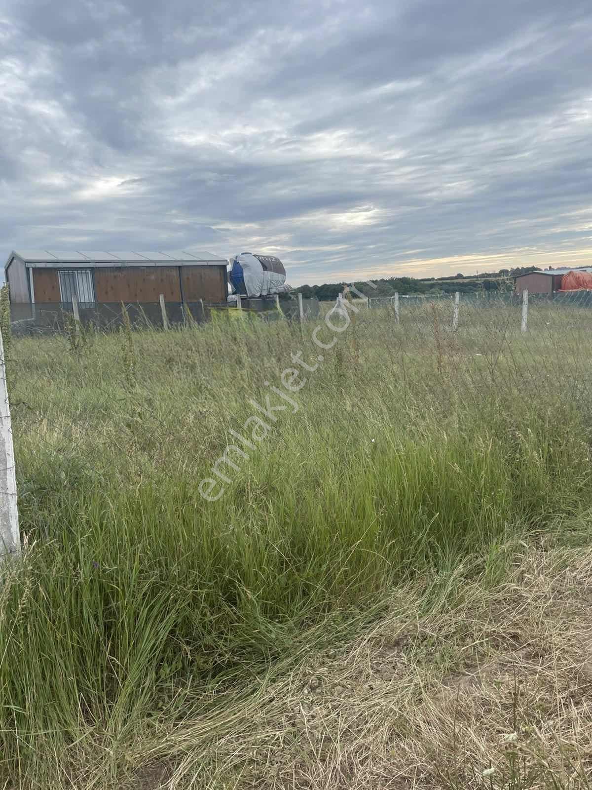 Silivri Çayırdere De Satılık 235 M2 Hisseli Etrafı Çevrili Arsa - Görsel 5