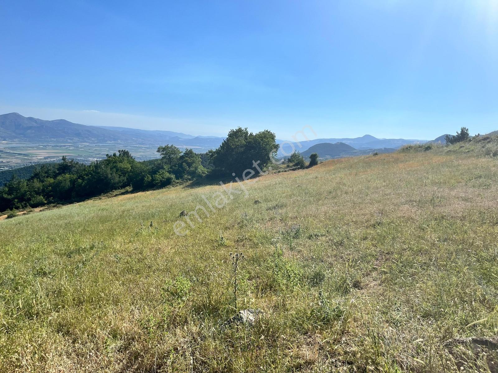 Pamukova Şahmelekte Satılık 250m2 İnşaat İzinli 19,500m2 Arsa - Görsel 10