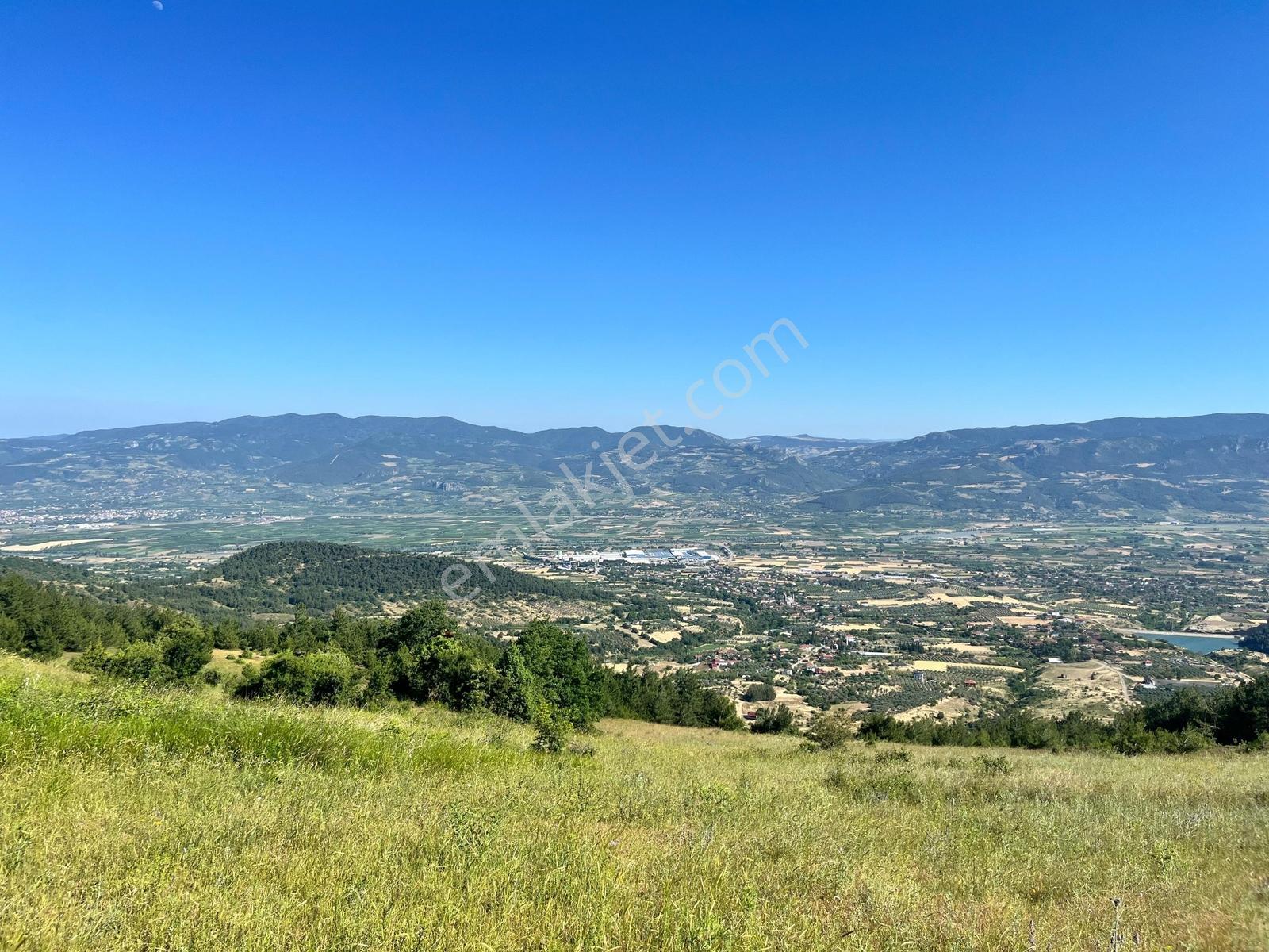 Pamukova Şahmelekte Satılık 250m2 İnşaat İzinli 19,500m2 Arsa - Görsel 12