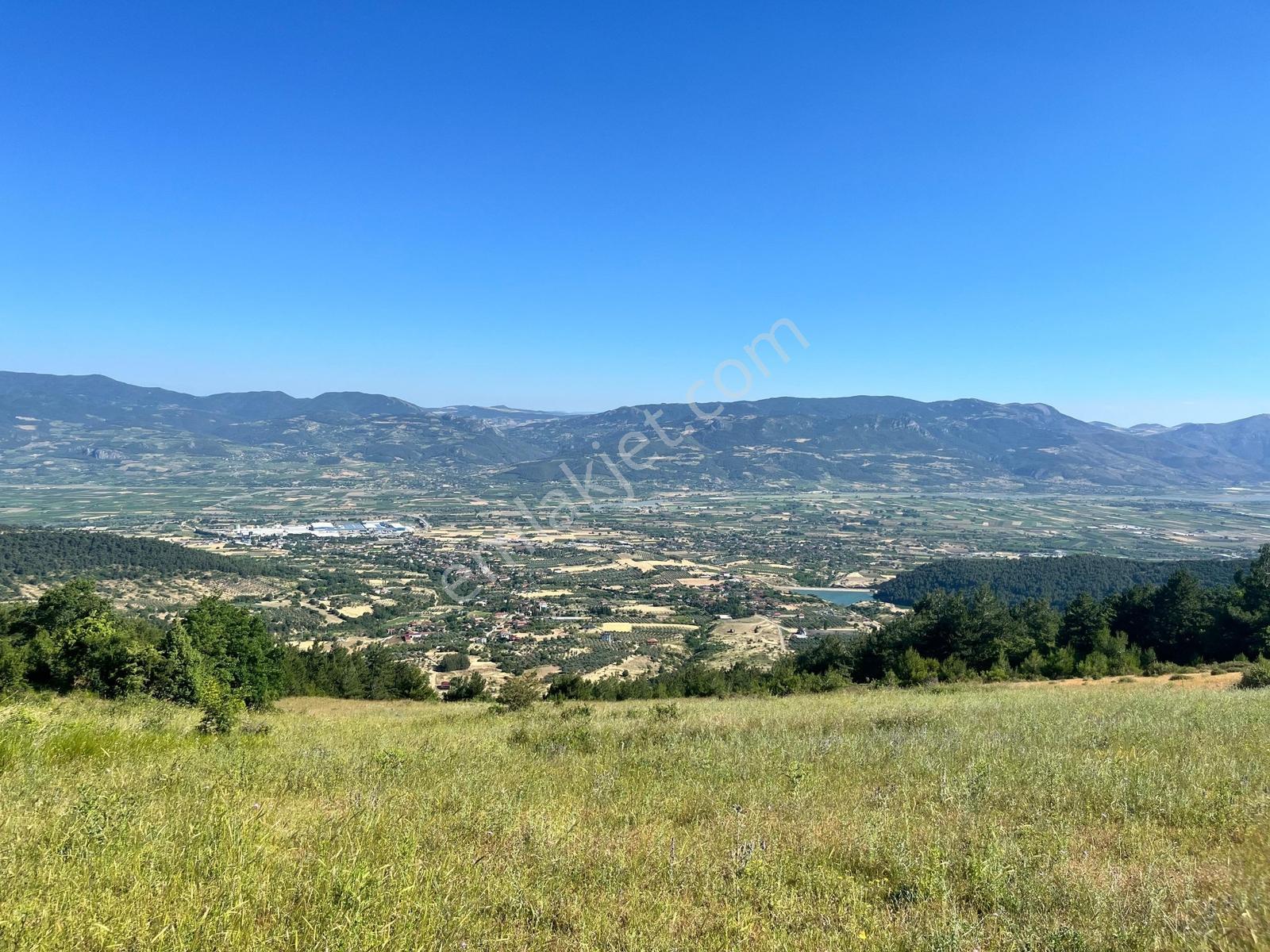Pamukova Şahmelekte Satılık 250m2 İnşaat İzinli 19,500m2 Arsa
