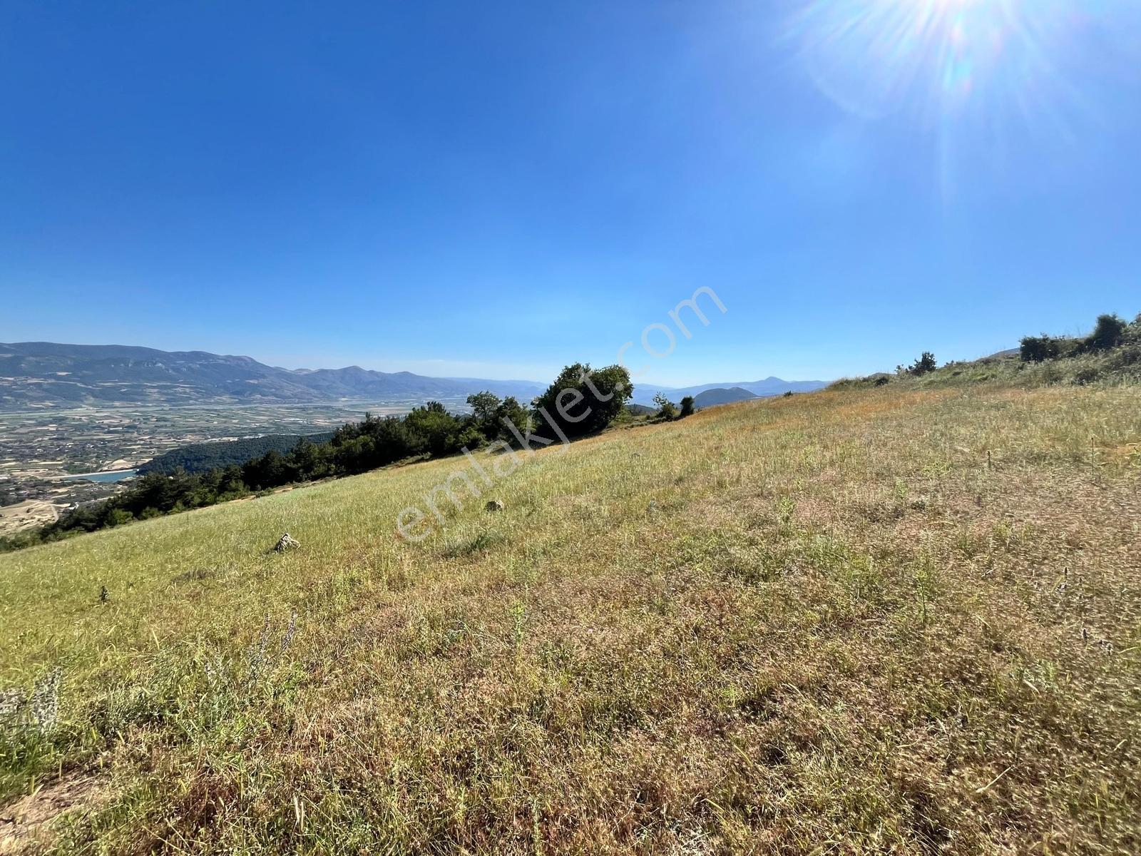 Pamukova Şahmelekte Satılık 250m2 İnşaat İzinli 19,500m2 Arsa - Görsel 3