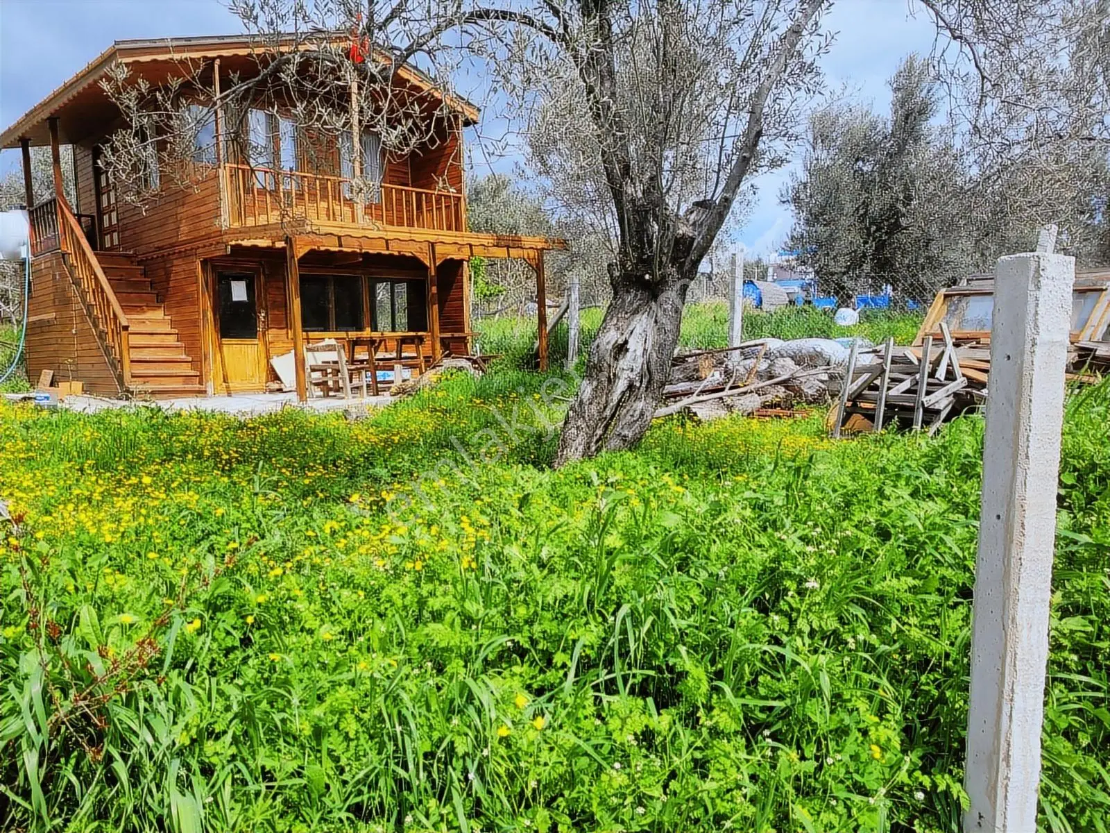 Çanakkale Ayvacık Bahçedere Köyü Ahşap Ev Olan Zeytinlik