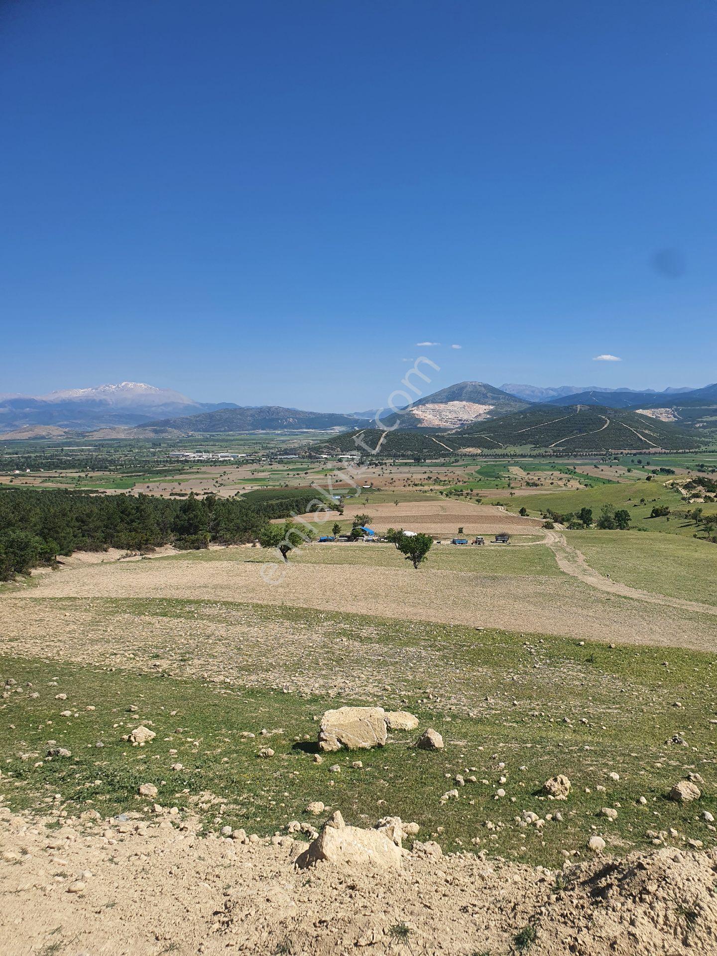 Devlet Destekli Hayvancılığa Uygun 7200 M2 Arazi Kadastro Yolu Var - Görsel 8