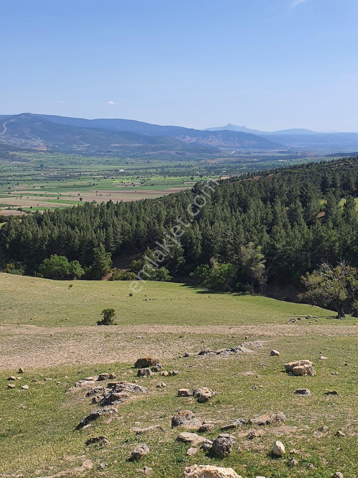 Devlet Destekli Hayvancılığa Uygun 7200 M2 Arazi Kadastro Yolu Var - Görsel 3
