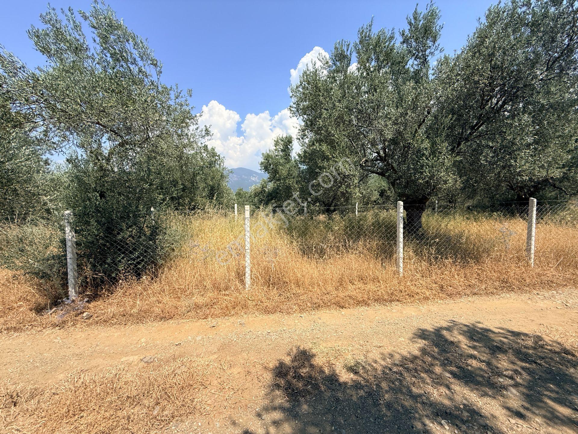 Sadece Jet'ten Kızılkeçili'de Resmi Yolu Olan 540m2 Hobi Bahçesi - Görsel 16