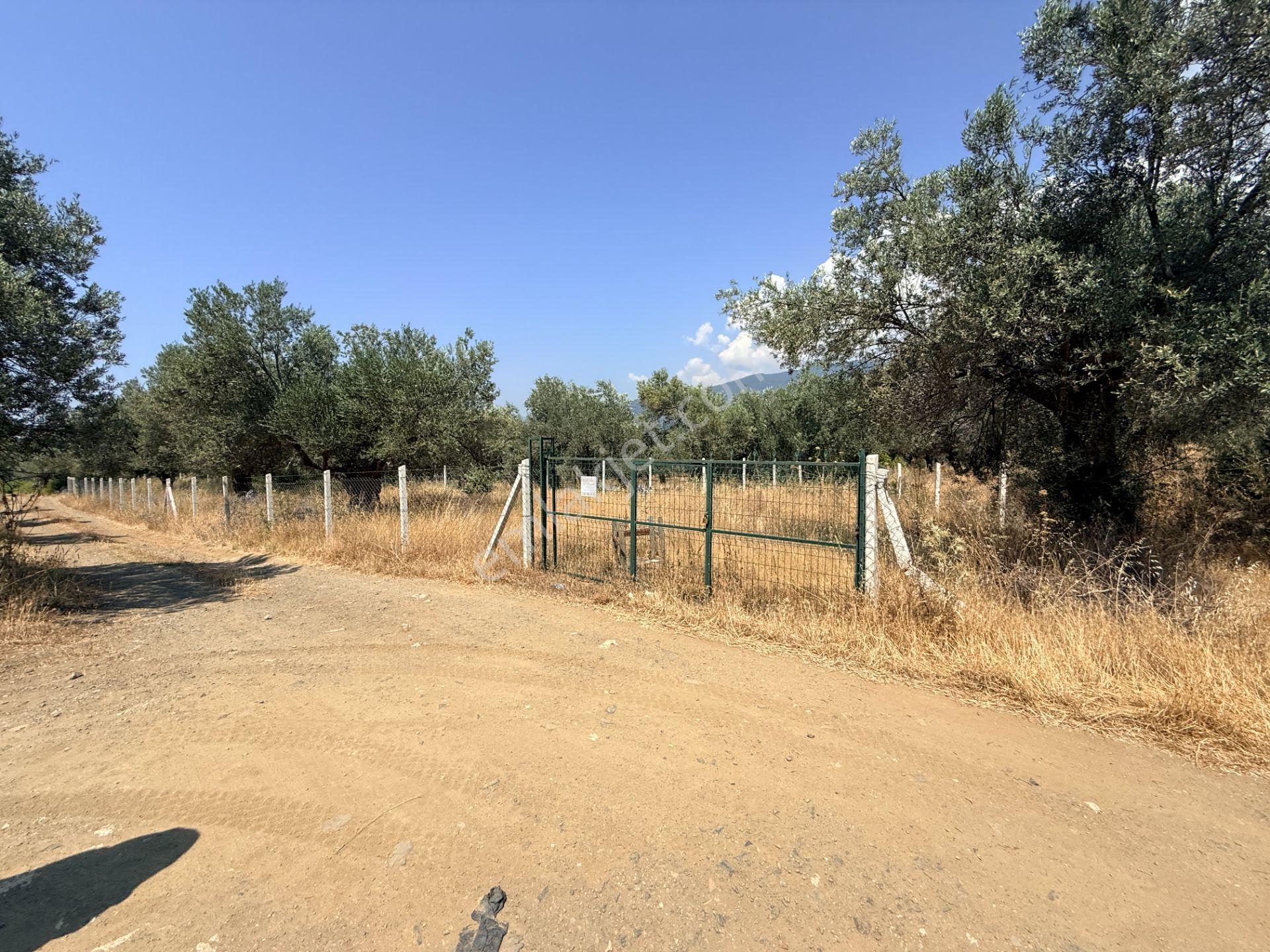 Sadece Jet'ten Kızılkeçili'de Resmi Yolu Olan 540m2 Hobi Bahçesi - Görsel 3