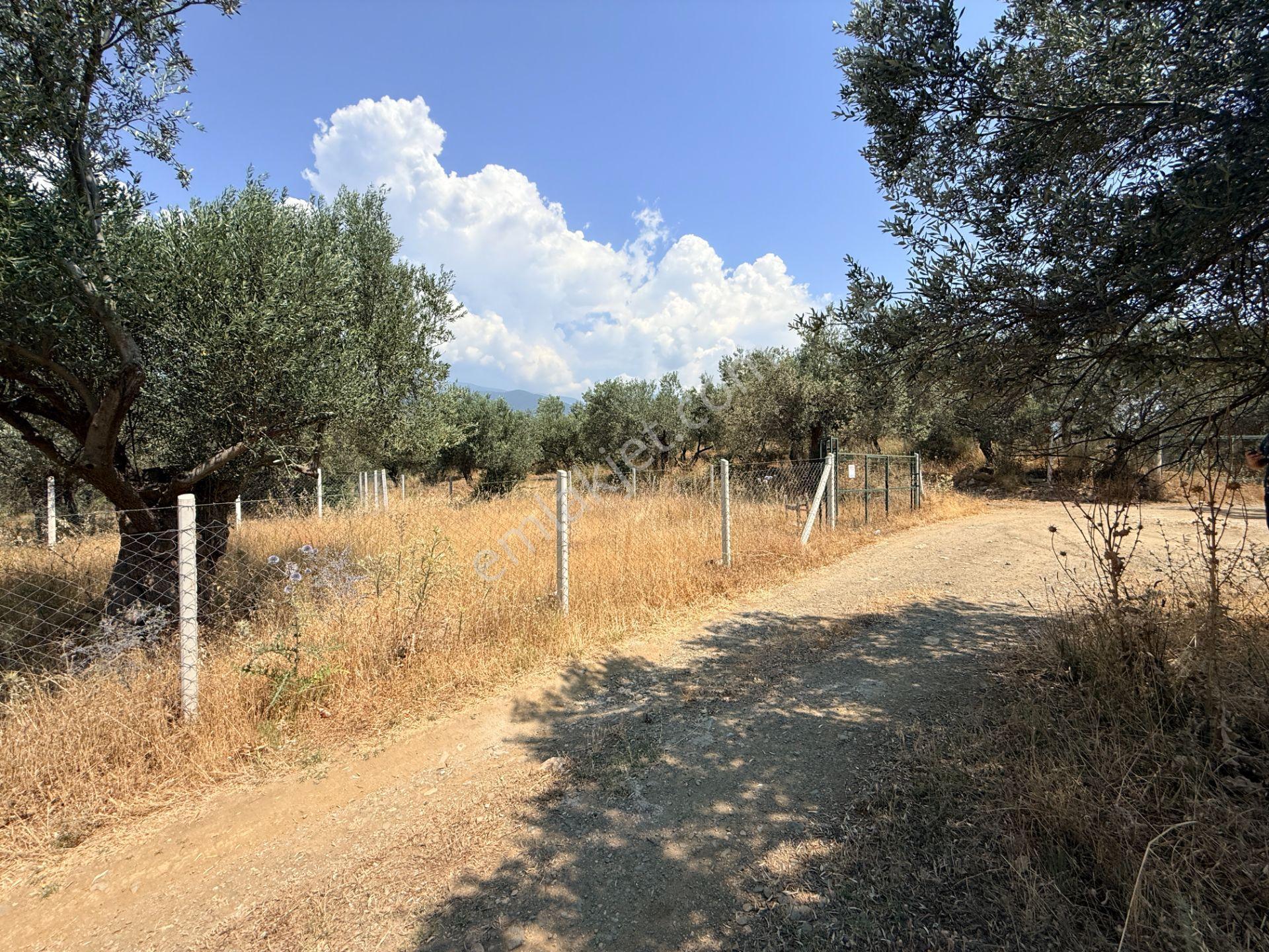Sadece Jet'ten Kızılkeçili'de Resmi Yolu Olan 540m2 Hobi Bahçesi - Görsel 21