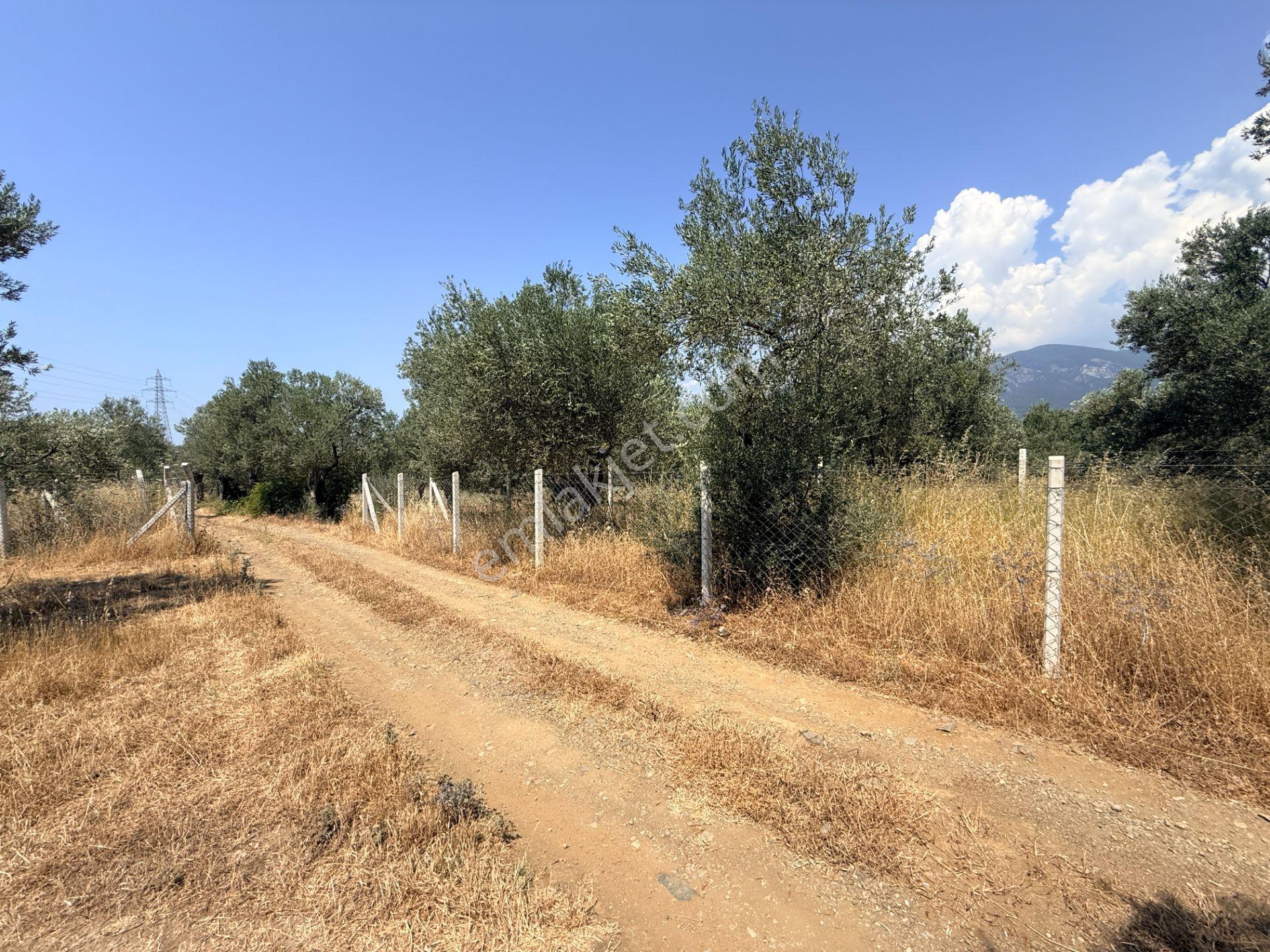 Sadece Jet'ten Kızılkeçili'de Resmi Yolu Olan 540m2 Hobi Bahçesi - Görsel 15