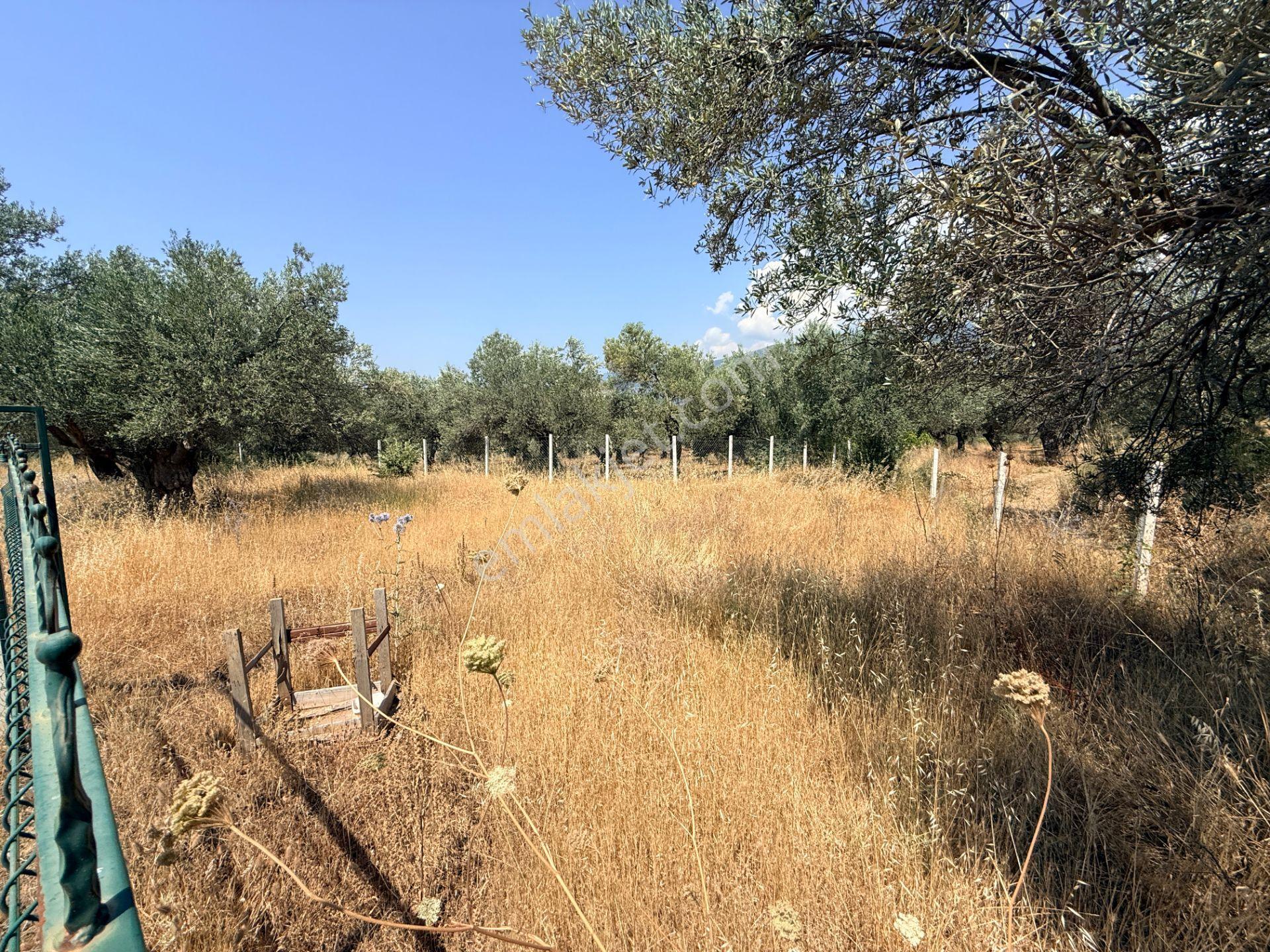 Sadece Jet'ten Kızılkeçili'de Resmi Yolu Olan 540m2 Hobi Bahçesi - Görsel 6
