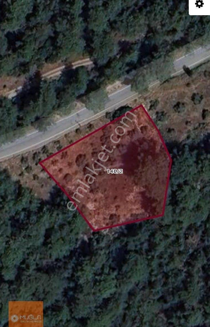 Muğla Menteşe’de 100 Ağaçlı, Su Sorunsuz, Yola Sıfır Fırsat Zeytinlik - Görsel 14