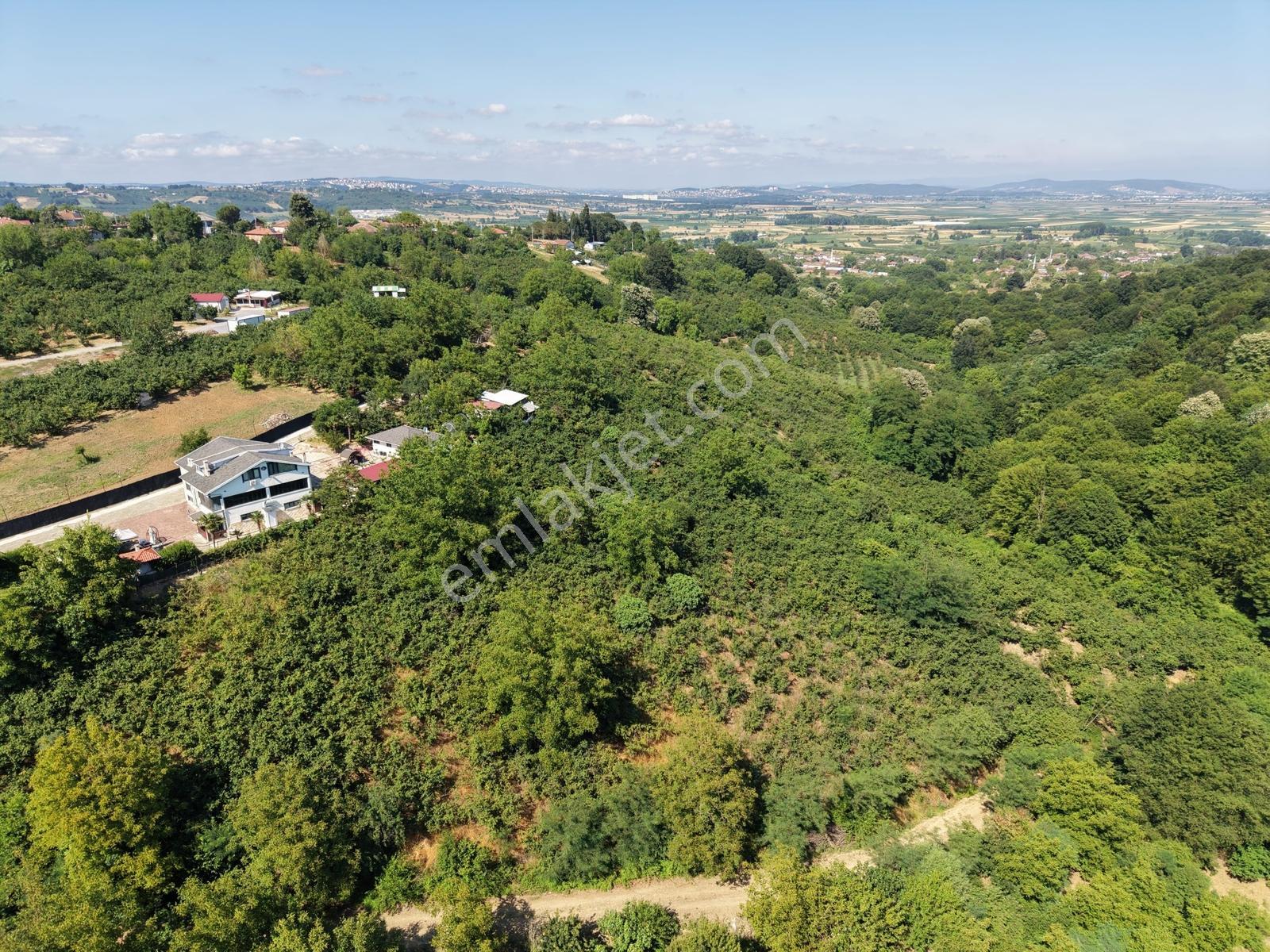 Serdivan Meşelide 4.145m2 Resmi Yollu Fındık Bahçesi - Görsel 22