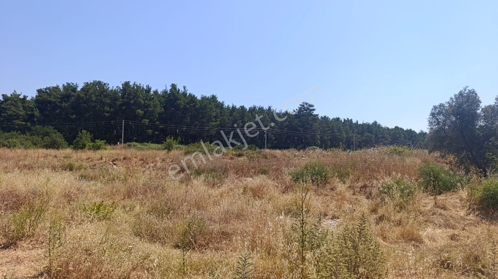 İzmir Menderes Deli Ömer Köyünde Kooperatif - Görsel 5