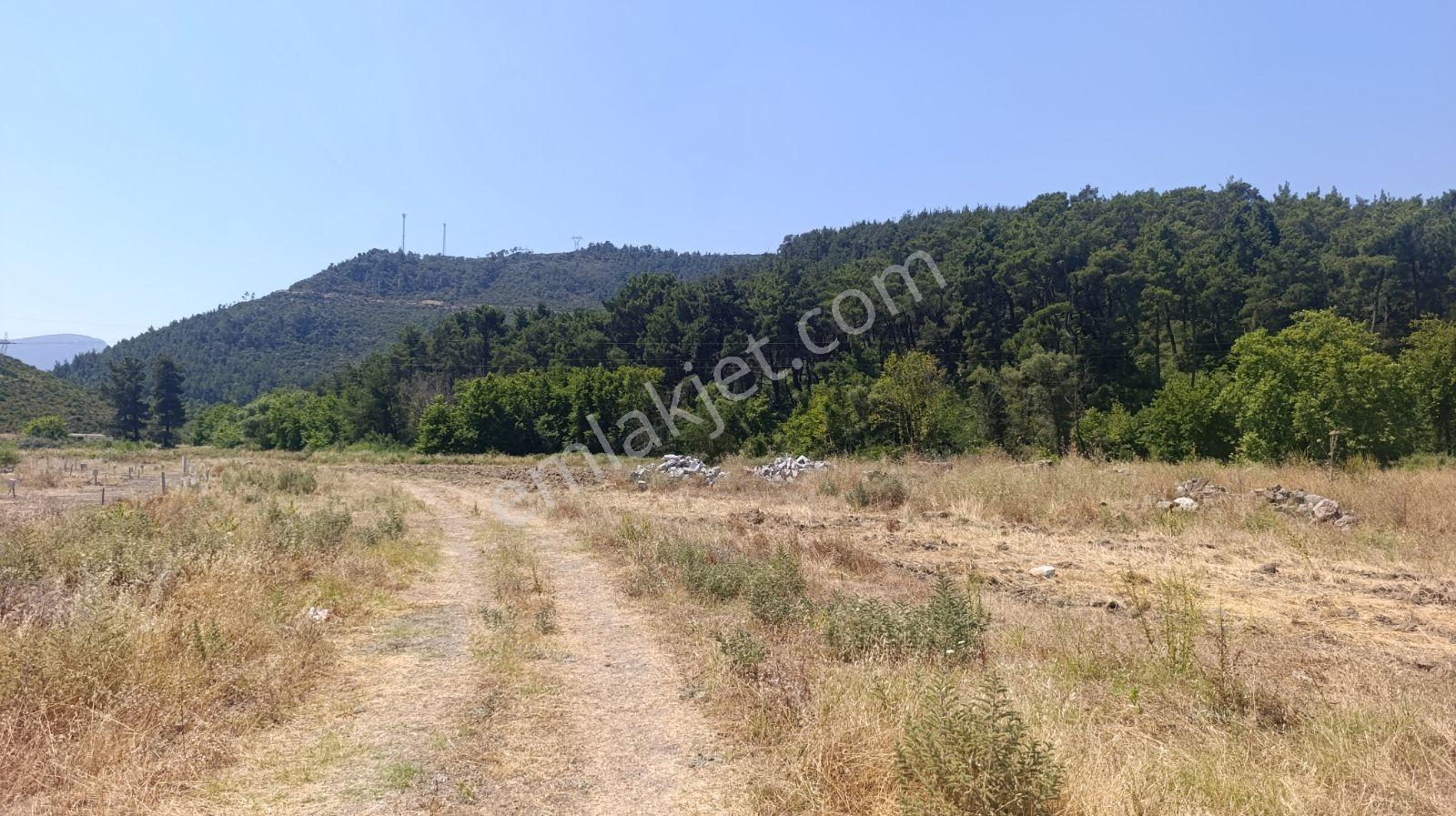 İzmir Menderes Deli Ömer Köyünde Kooperatif - Görsel 14