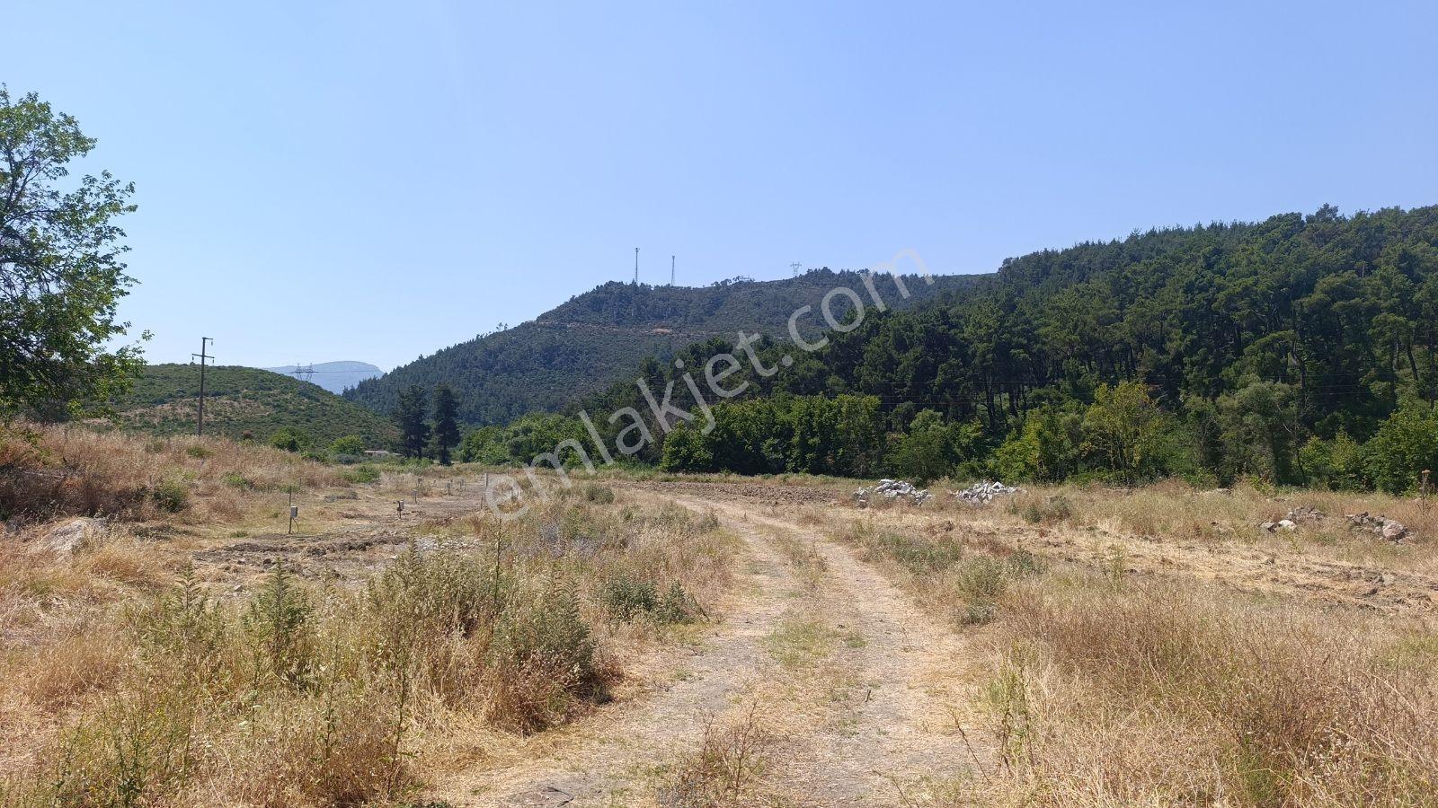 İzmir Menderes Deli Ömer Köyünde Kooperatif - Görsel 6