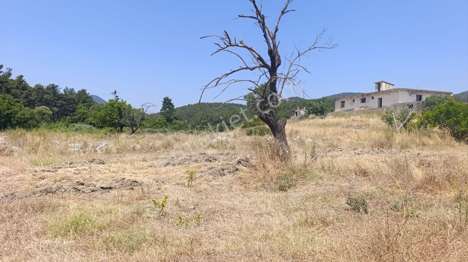 İzmir Menderes Deli Ömer Köyünde Kooperatif - Görsel 4
