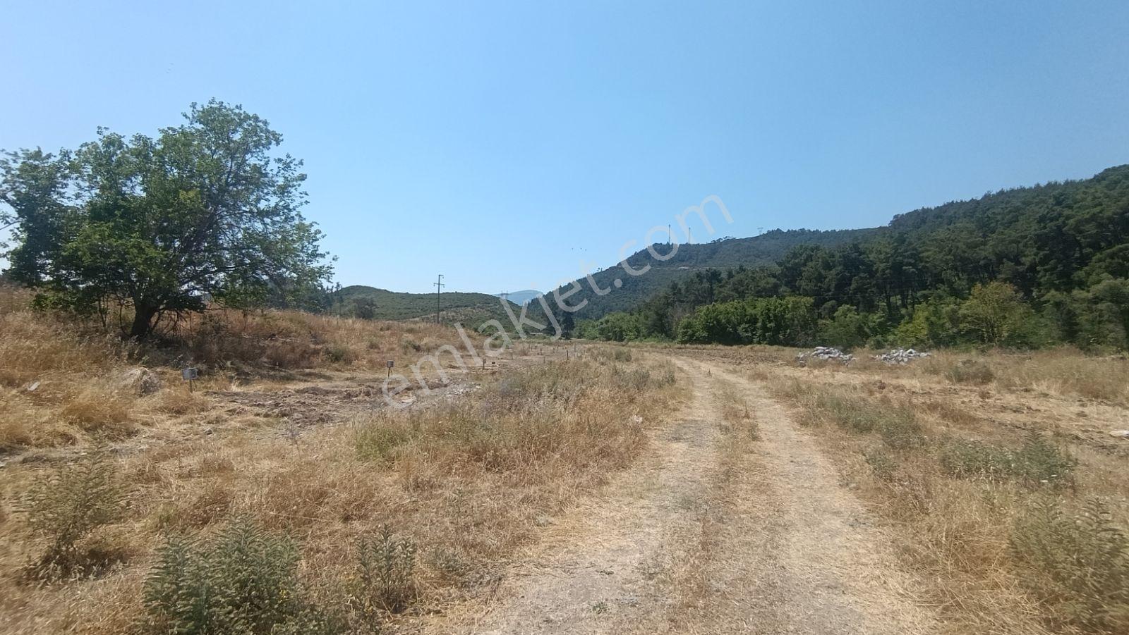 İzmir Menderes Deli Ömer Köyünde Kooperatif - Görsel 3