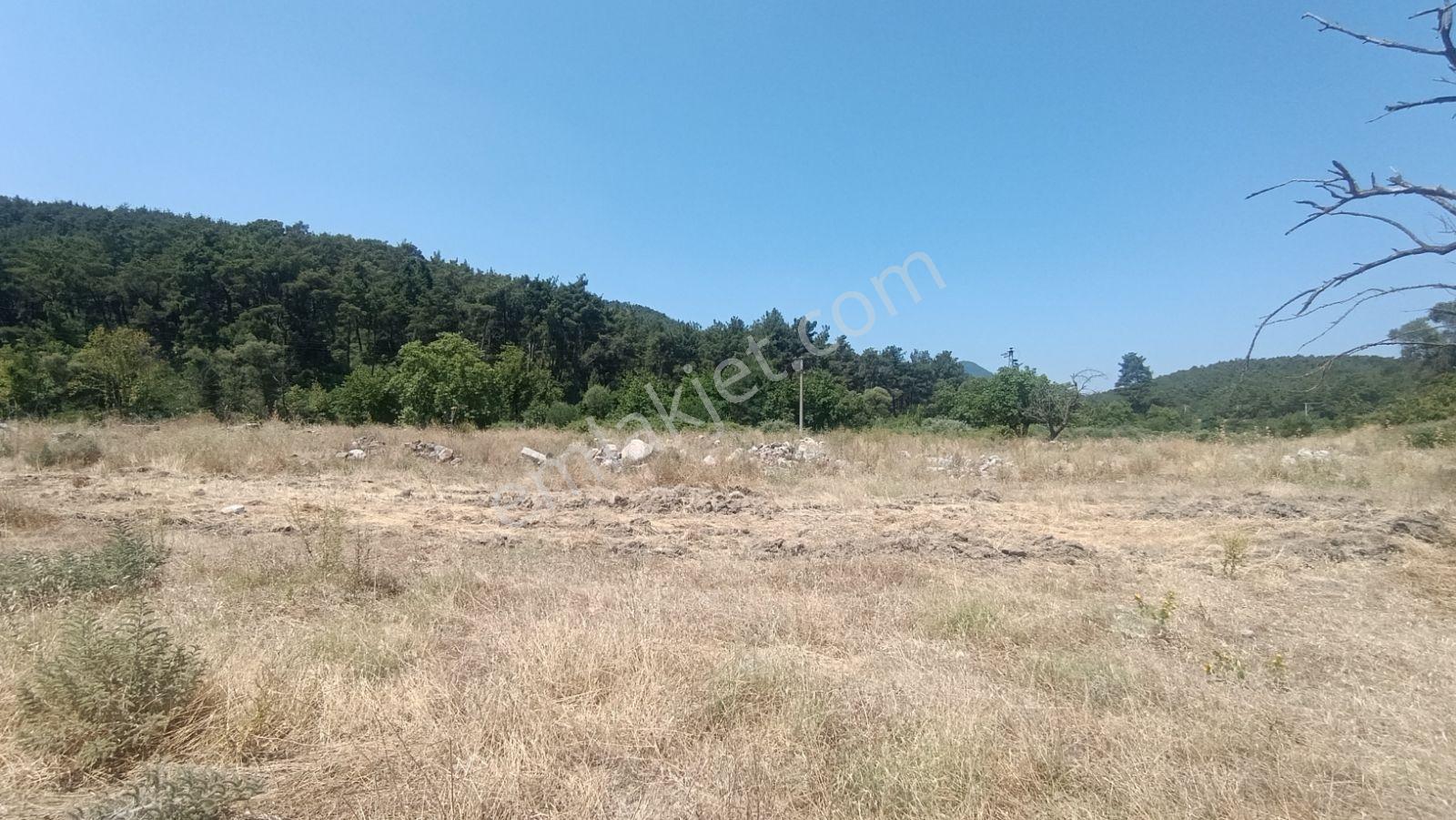 İzmir Menderes Deli Ömer Köyünde Kooperatif - Görsel 2