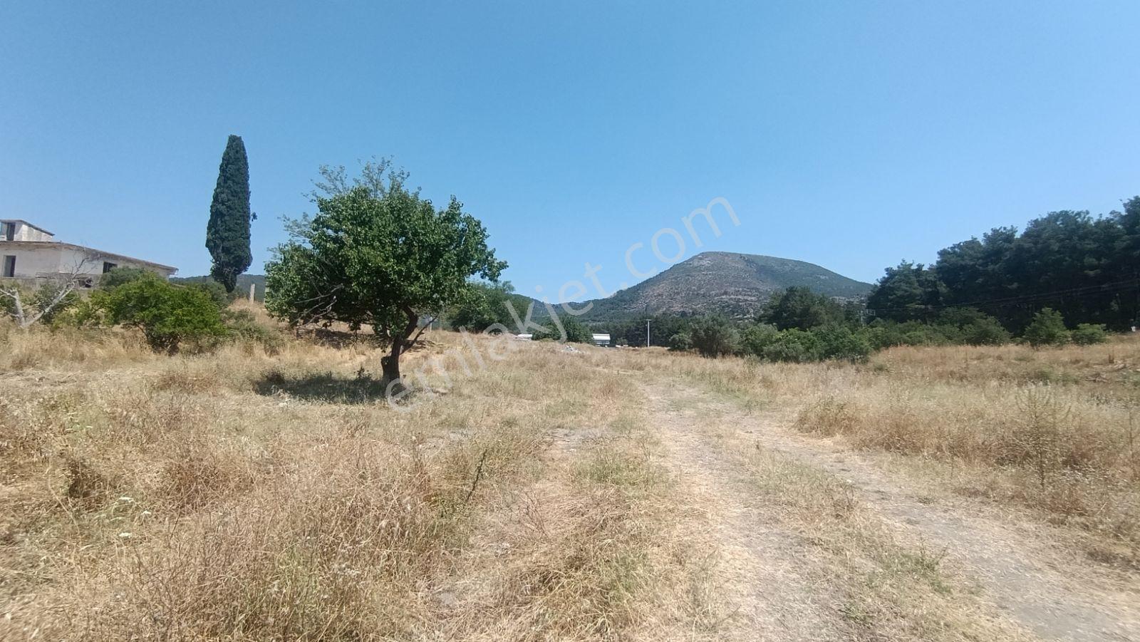 İzmir Menderes Deli Ömer Köyünde Kooperatif - Görsel 9