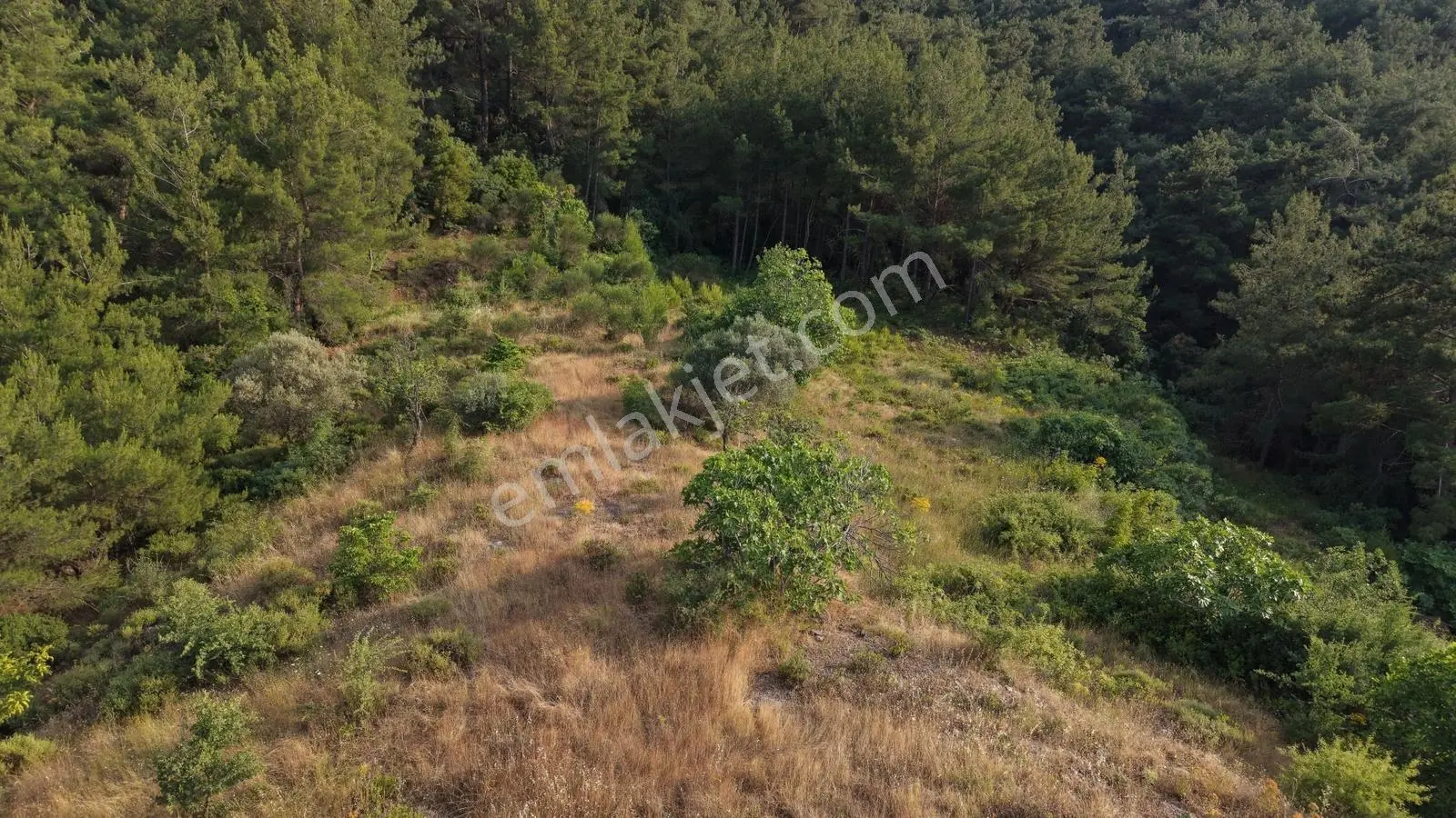 Kemalpaşada Satılık 3 Adet Tek Tapu 7.528+317+845 M² Bahçeler