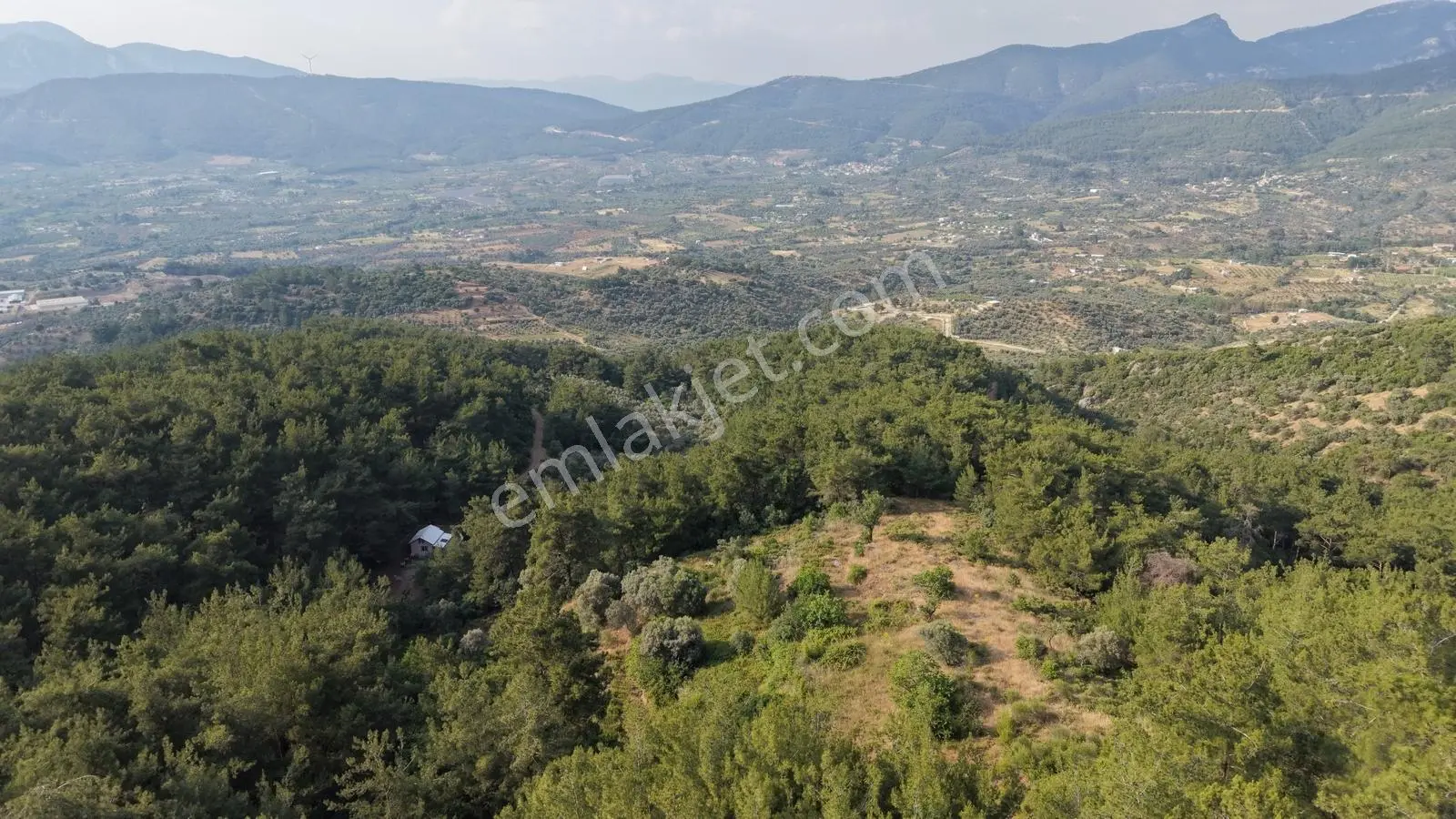 Kemalpaşada Satılık 3 Adet Tek Tapu 7.528+317+845 M² Bahçeler - Görsel 4