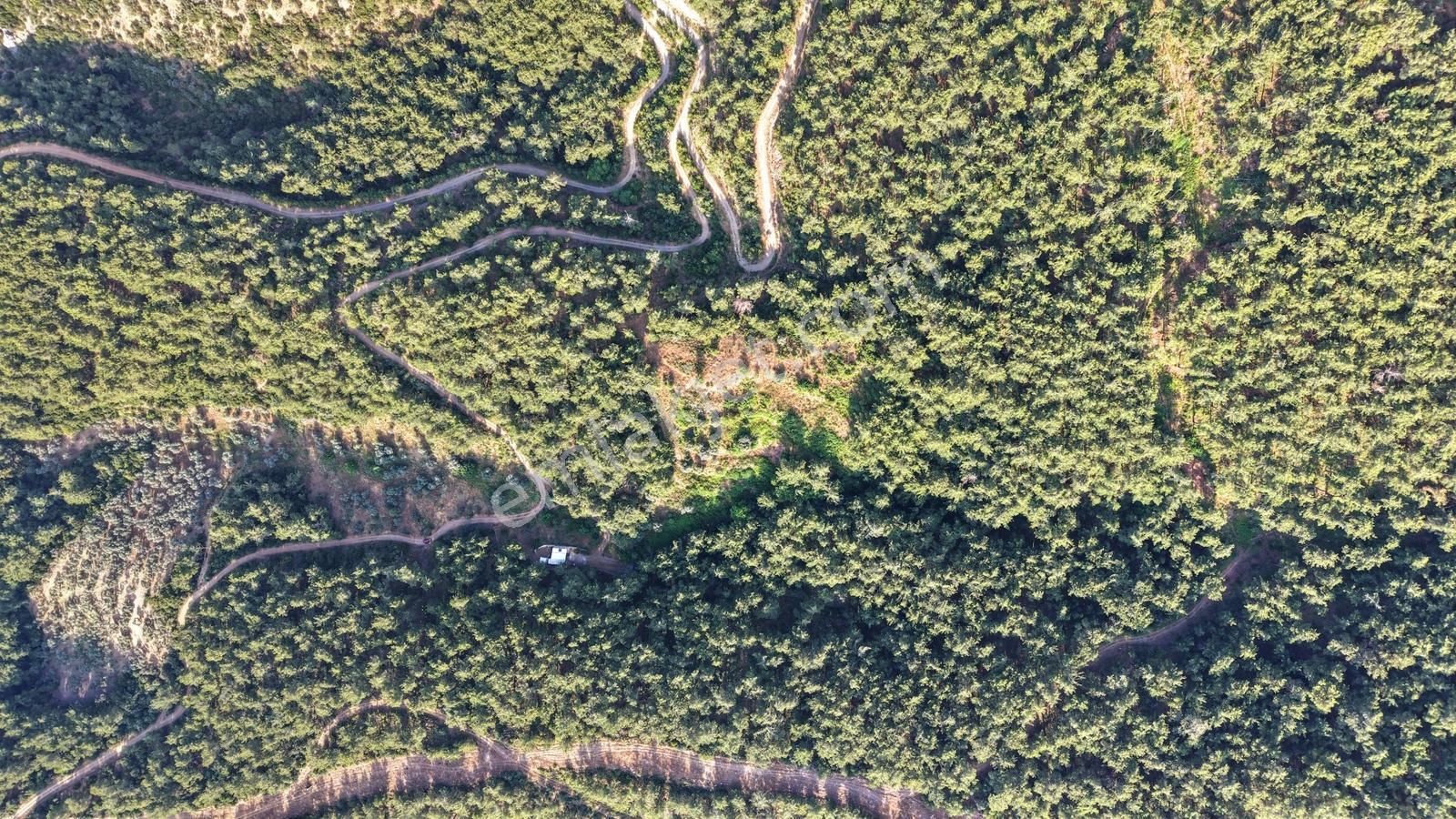 Kemalpaşada Satılık 3 Adet Tek Tapu 7.528+317+845 M² Bahçeler - Görsel 8