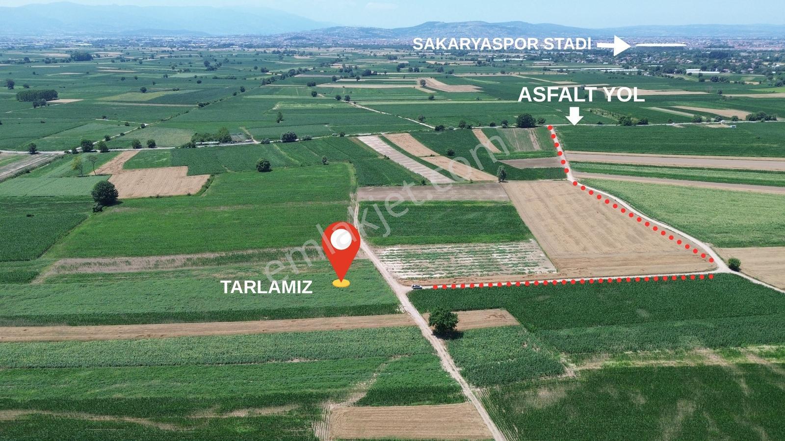 Çökekler'de Harika Konumda Yolu Olan 9.710 M2 Satılık Tarla
