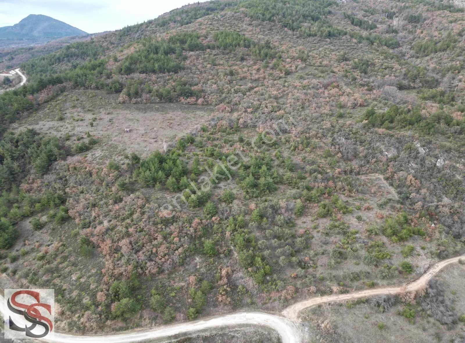 Pamukova Hüseyinli Mahallesi Muhteşem Konumda 3.608 M² Tarla - Görsel 3