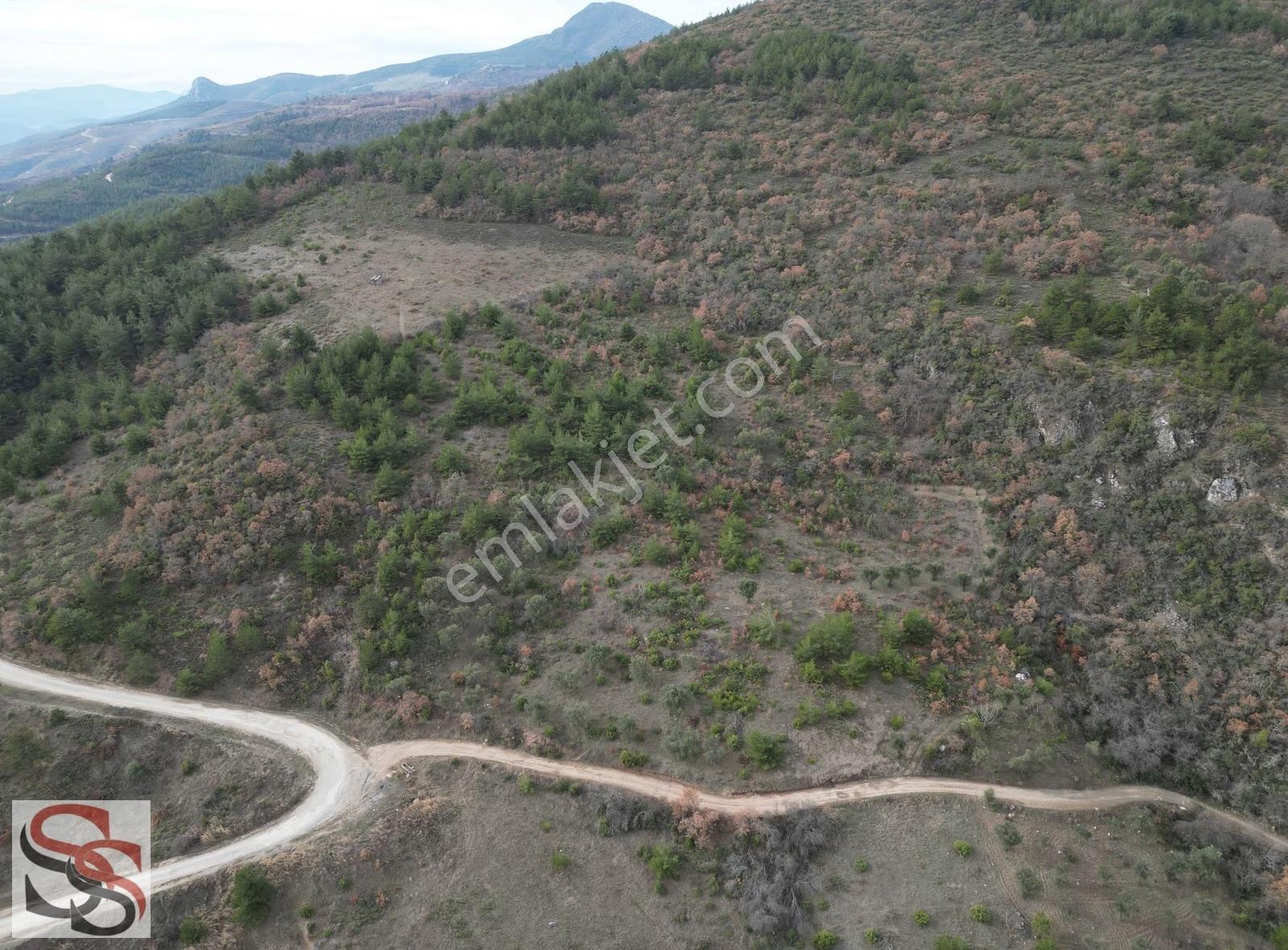 Pamukova Hüseyinli Mahallesi Muhteşem Konumda 3.608 M² Tarla - Görsel 6