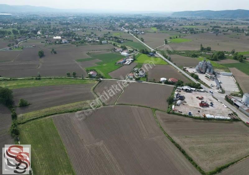 Adapazarı Çökekler'de Yerleşim Alanına Çok Yakın Satılık Tarla - Görsel 9