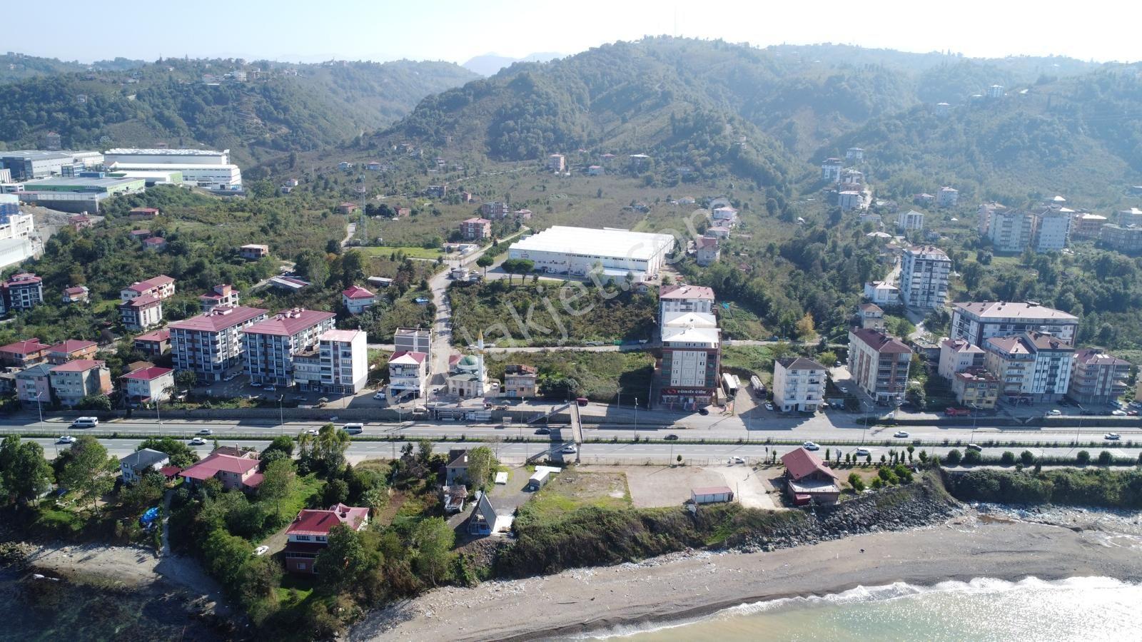 Trabzon Arsin'de Satılık Sahil Yolu Üzerinde Arsa - Görsel 18