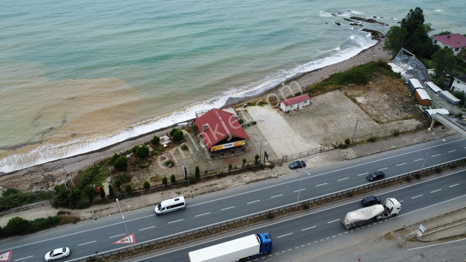Trabzon Arsin'de Satılık Sahil Yolu Üzerinde Arsa - Görsel 4