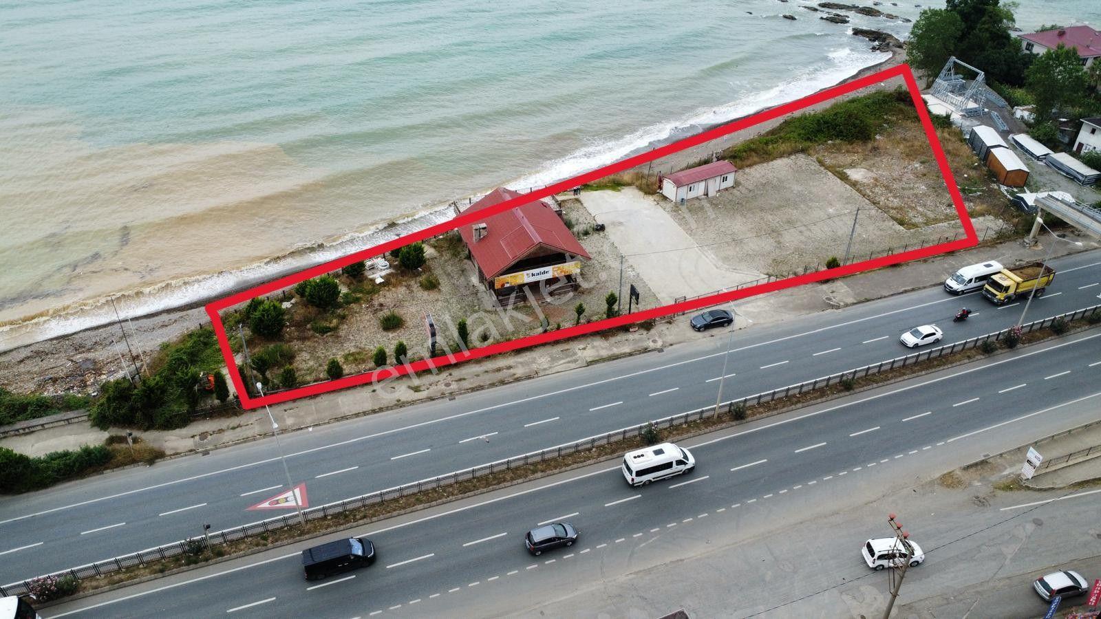 Trabzon Arsin'de Satılık Sahil Yolu Üzerinde Arsa - Görsel 2