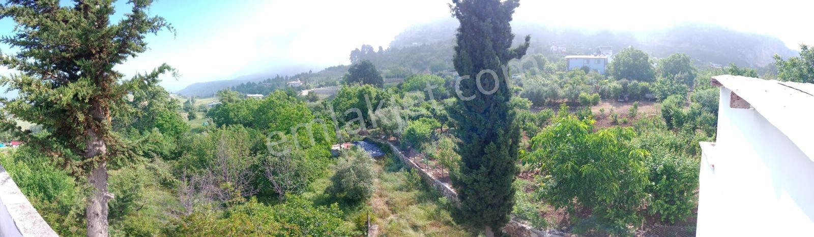 Aydın'dan Aladağ'da 2500 M2 Arazi İçinde 2+1 Kiralık Müstakil Ev - Görsel 18