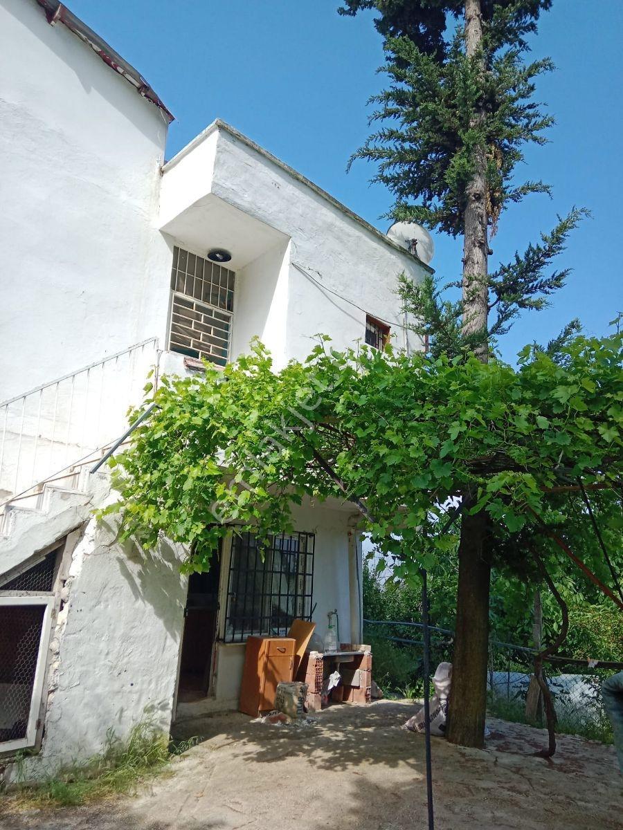 Aydın'dan Aladağ'da 2500 M2 Arazi İçinde 2+1 Kiralık Müstakil Ev - Görsel 13