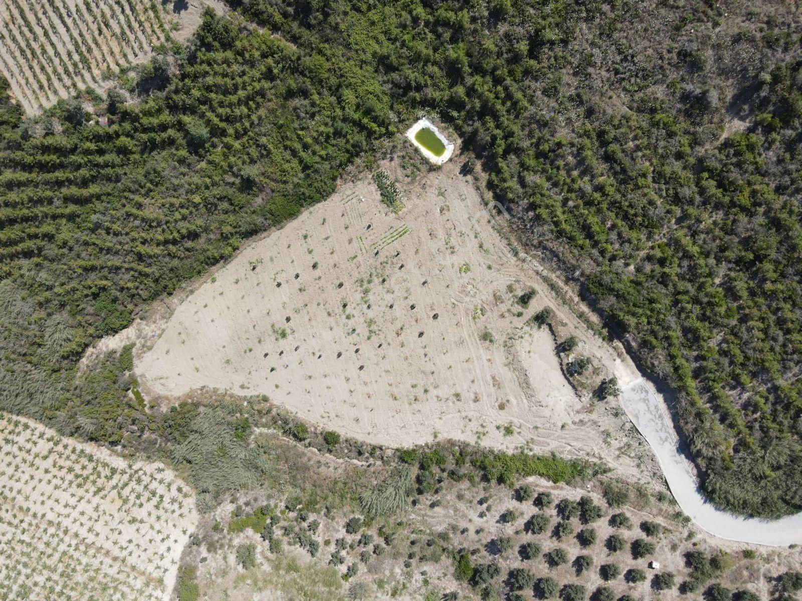 Aydın'dan Toroslar Doruklu'da 3 Dönüm Fırsat Satılık Arsa - Görsel 12