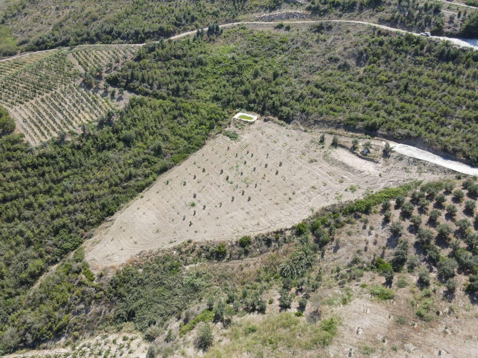 Aydın'dan Toroslar Doruklu'da 3 Dönüm Fırsat Satılık Arsa - Görsel 19